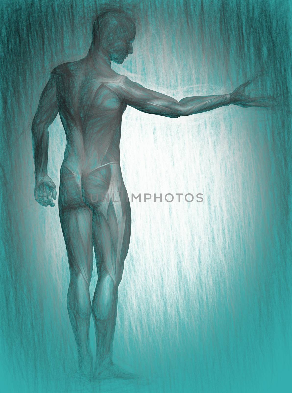  3d illustration of human body anatomy  
 by vitanovski