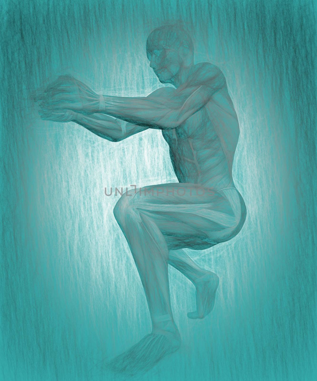 Human Anatomy -Male Muscles by vitanovski