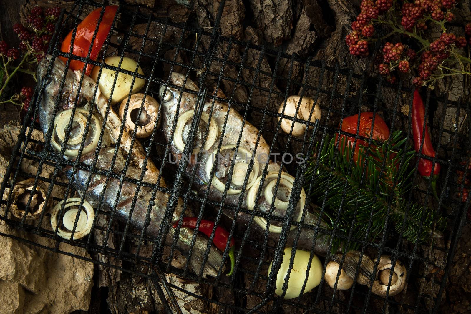 smoked fish with vegetables and pine branches on a background of tree bark