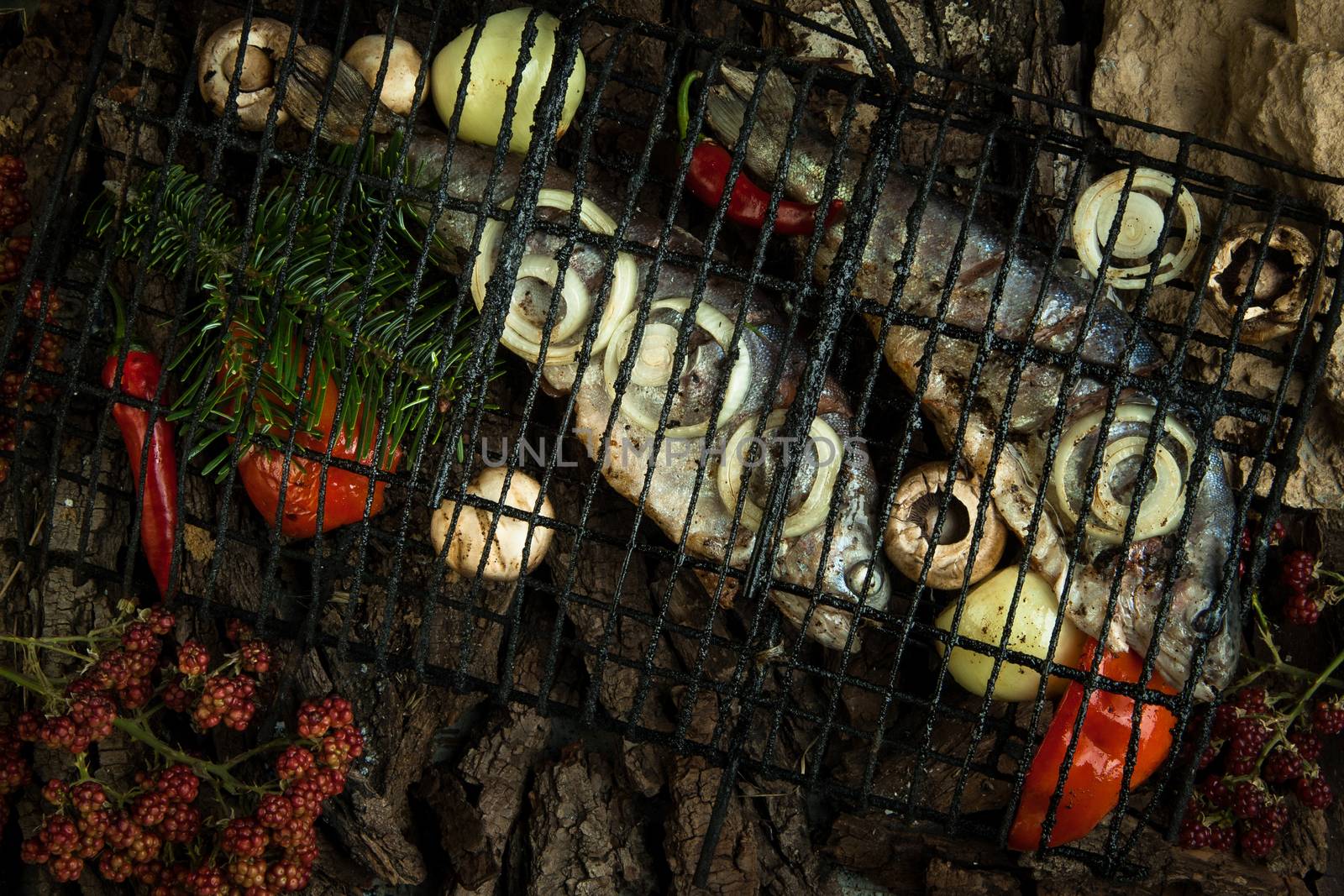 smoked fish with vegetables and pine branches on a background of tree bark