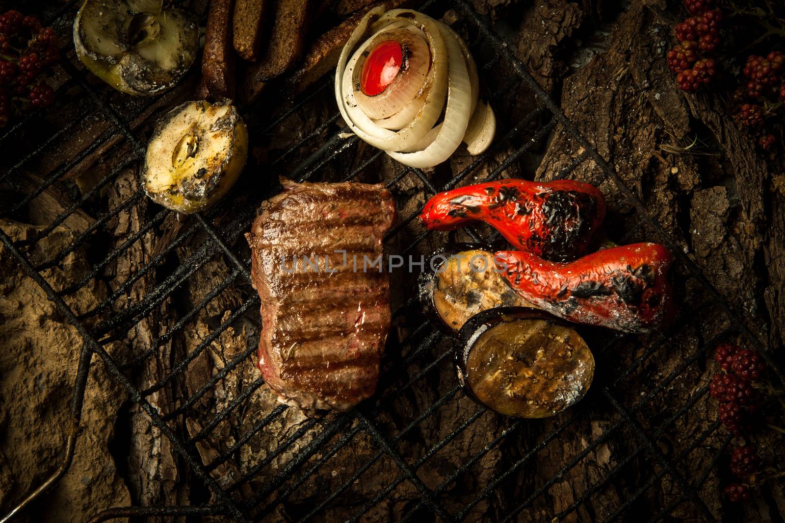 a piece of roasted meat with vegetables on the grill on a background of tree bark