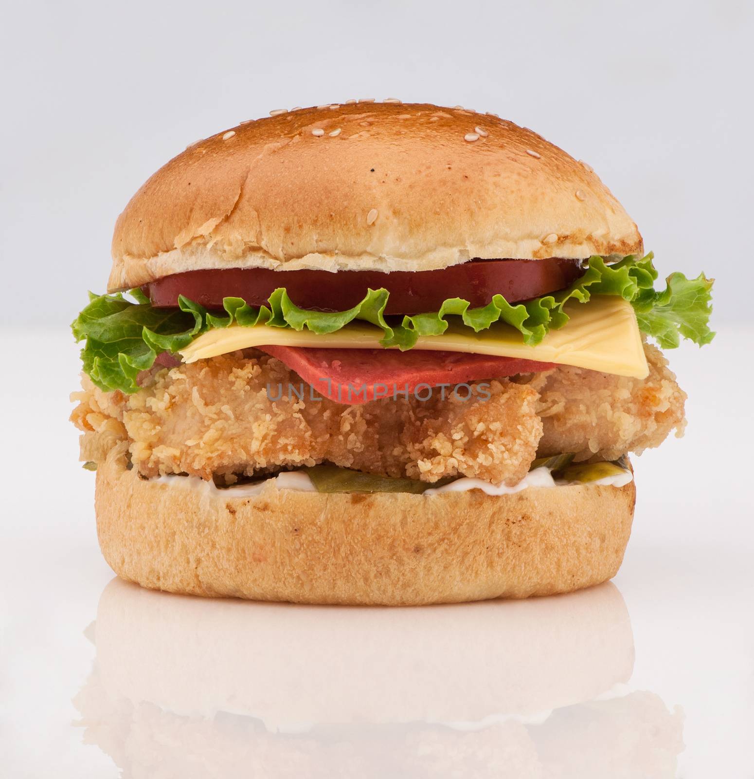 cheeseburger with a chicken on a white background with reflection closeup