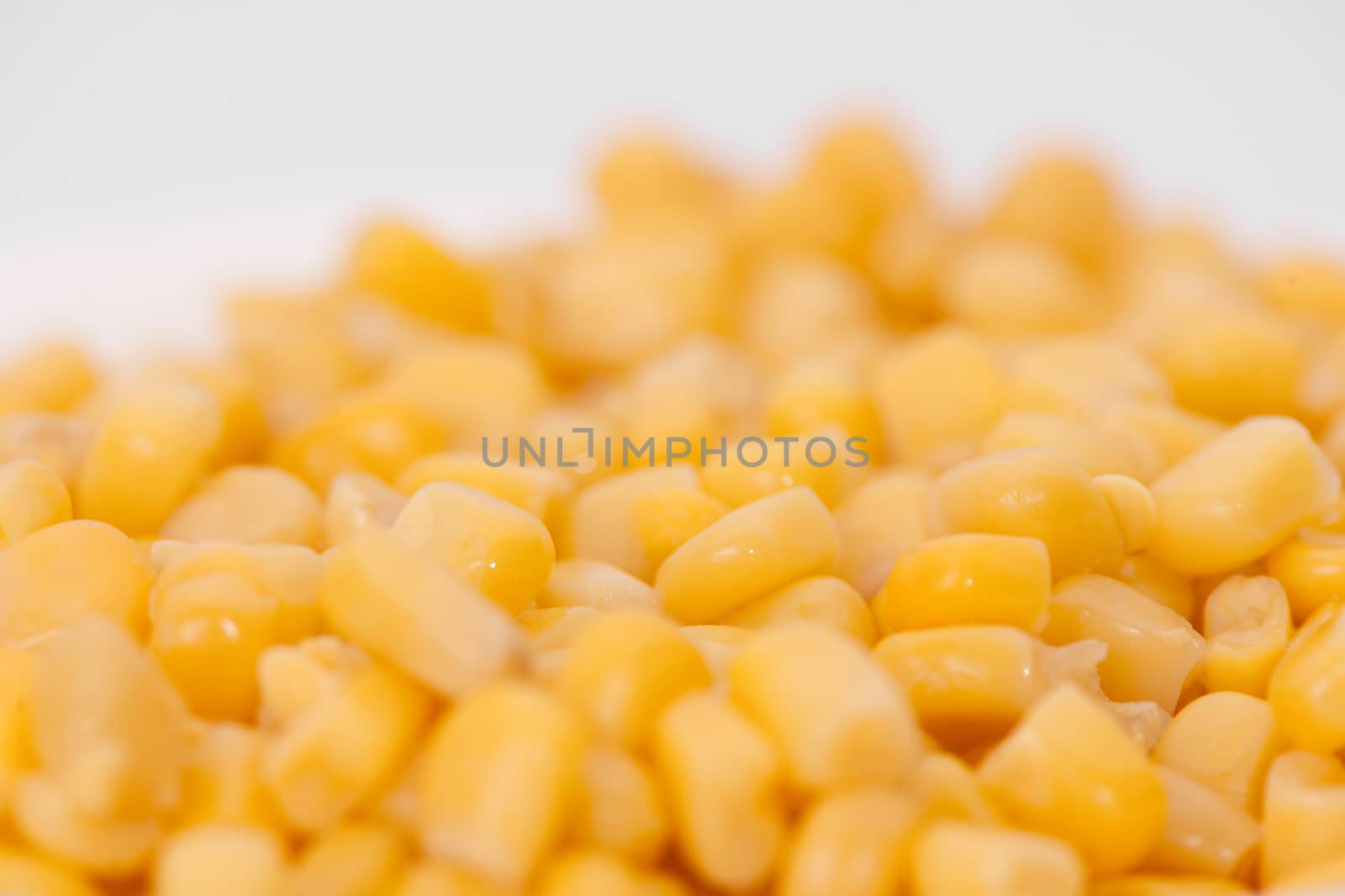 boiled corn close-up on a light background