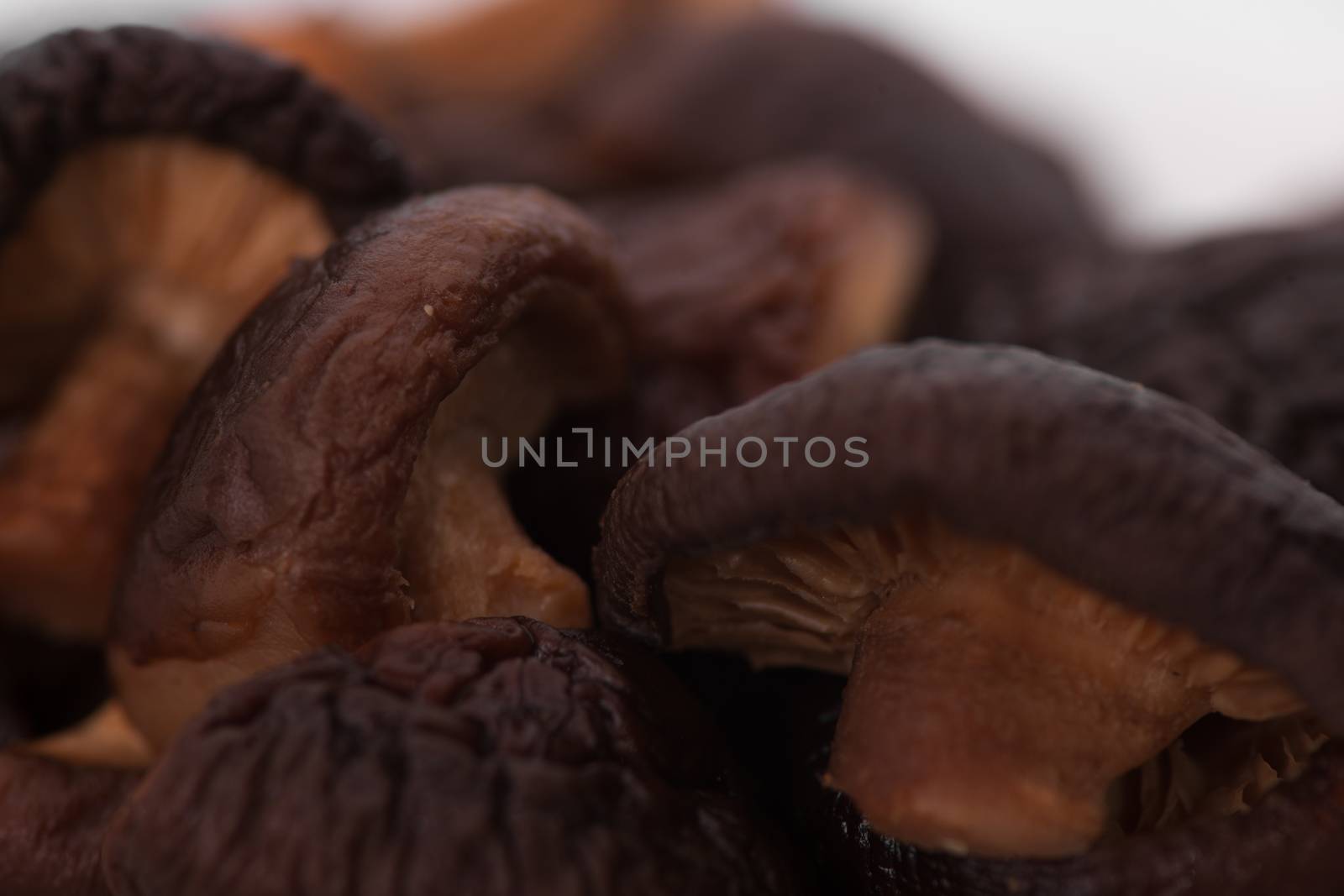 dark mushrooms close up on a light background