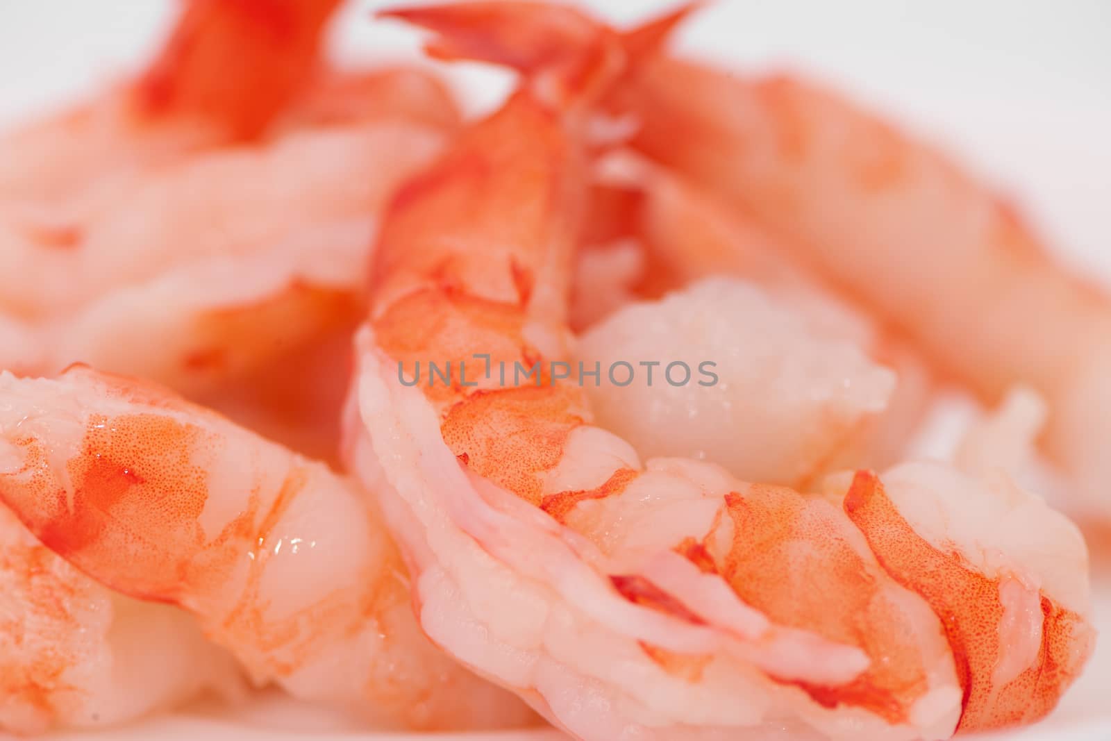 prawns close-up on a light background