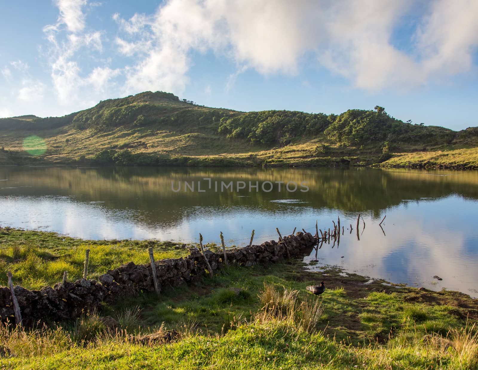 Walk on the Azores archipelago. Discovery of the island of Pico, Azores. Portugal. , Azores. Portugal. madalena