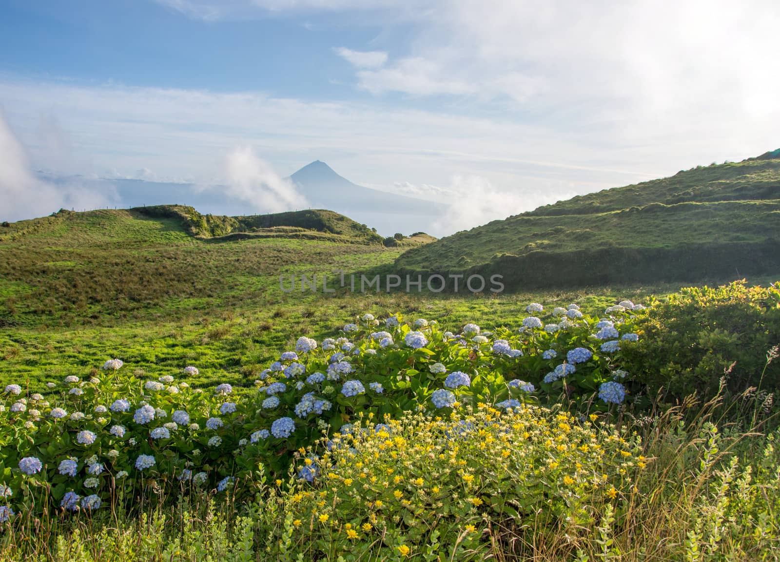 Walk on the Azores archipelago. Discovery of the island of sao jorge, Azores. Portugal. , Azores. Portugal. Velas
