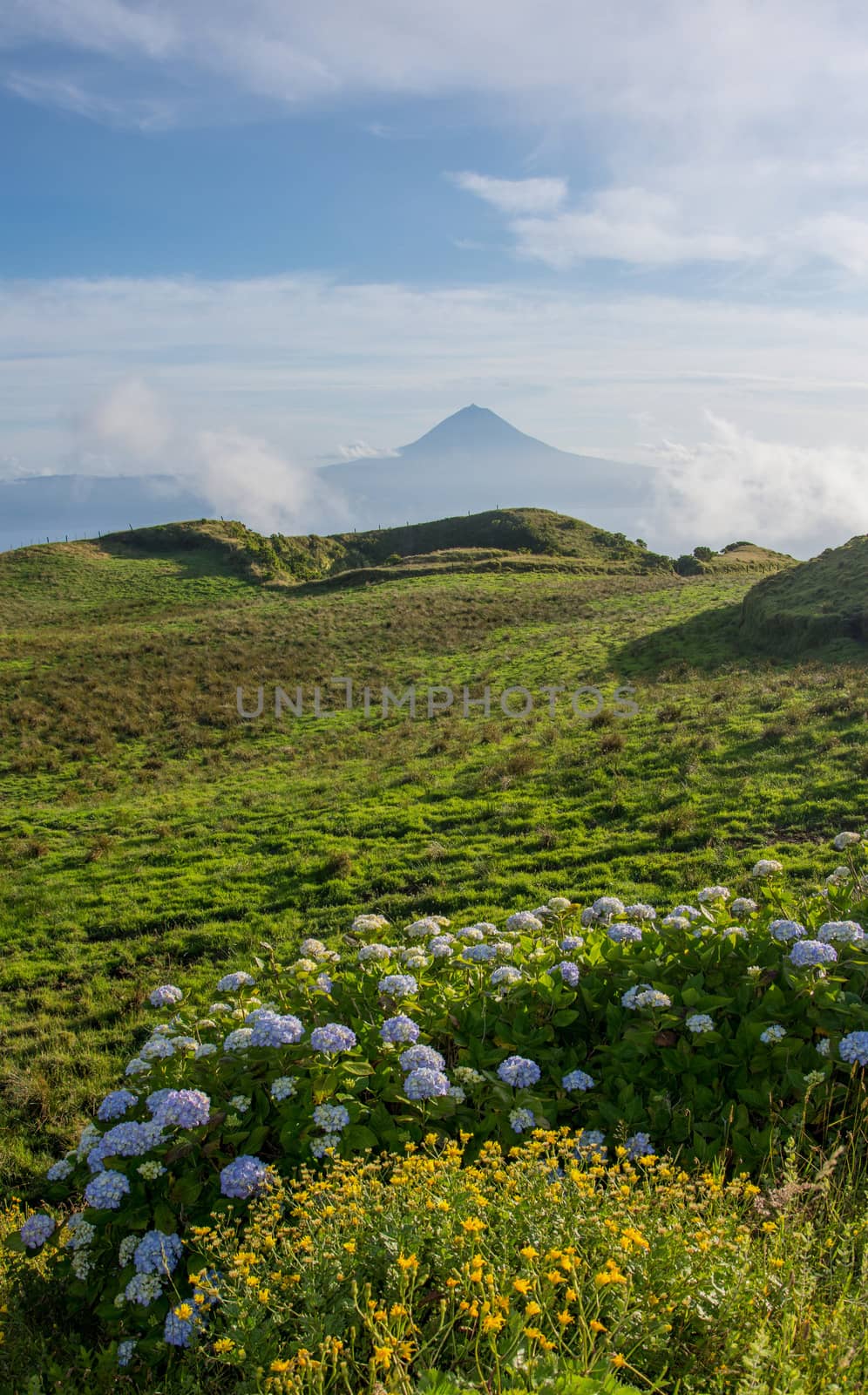Walk on the Azores archipelago. Discovery of the island of sao jorge, Azores. Portugal. , Azores. Portugal. Velas