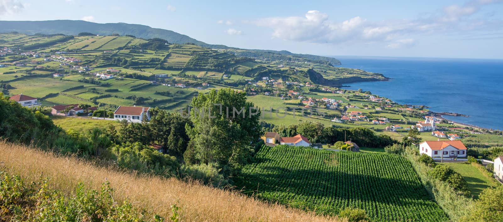 Walk on the Azores archipelago. Discovery of the island of Faial, Azores. Portugal, Azores. Horta by shovag