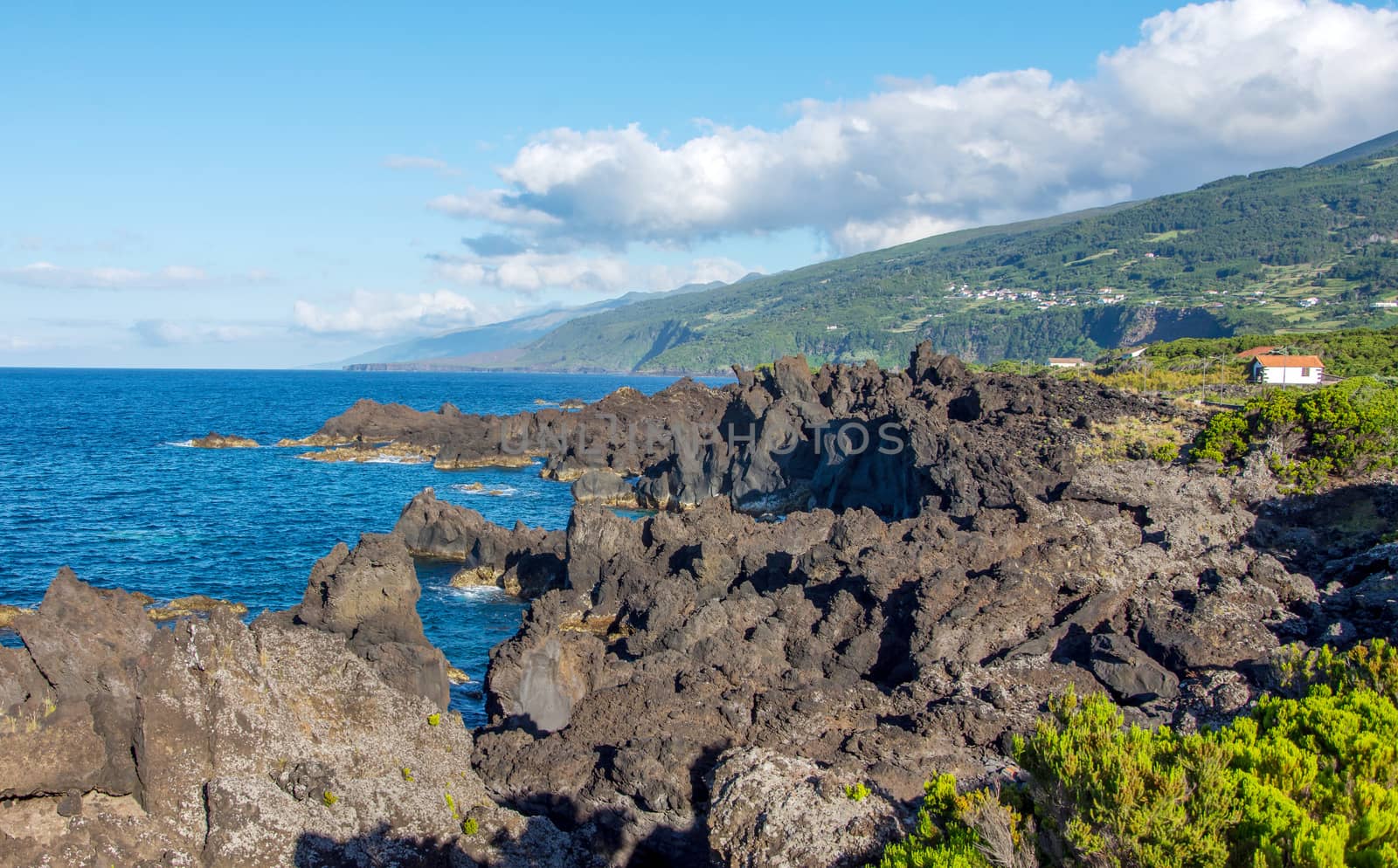 Walk on the Azores archipelago. Discovery of the island of Pico, Azores. Portugal. , Azores. Portugal. madalena