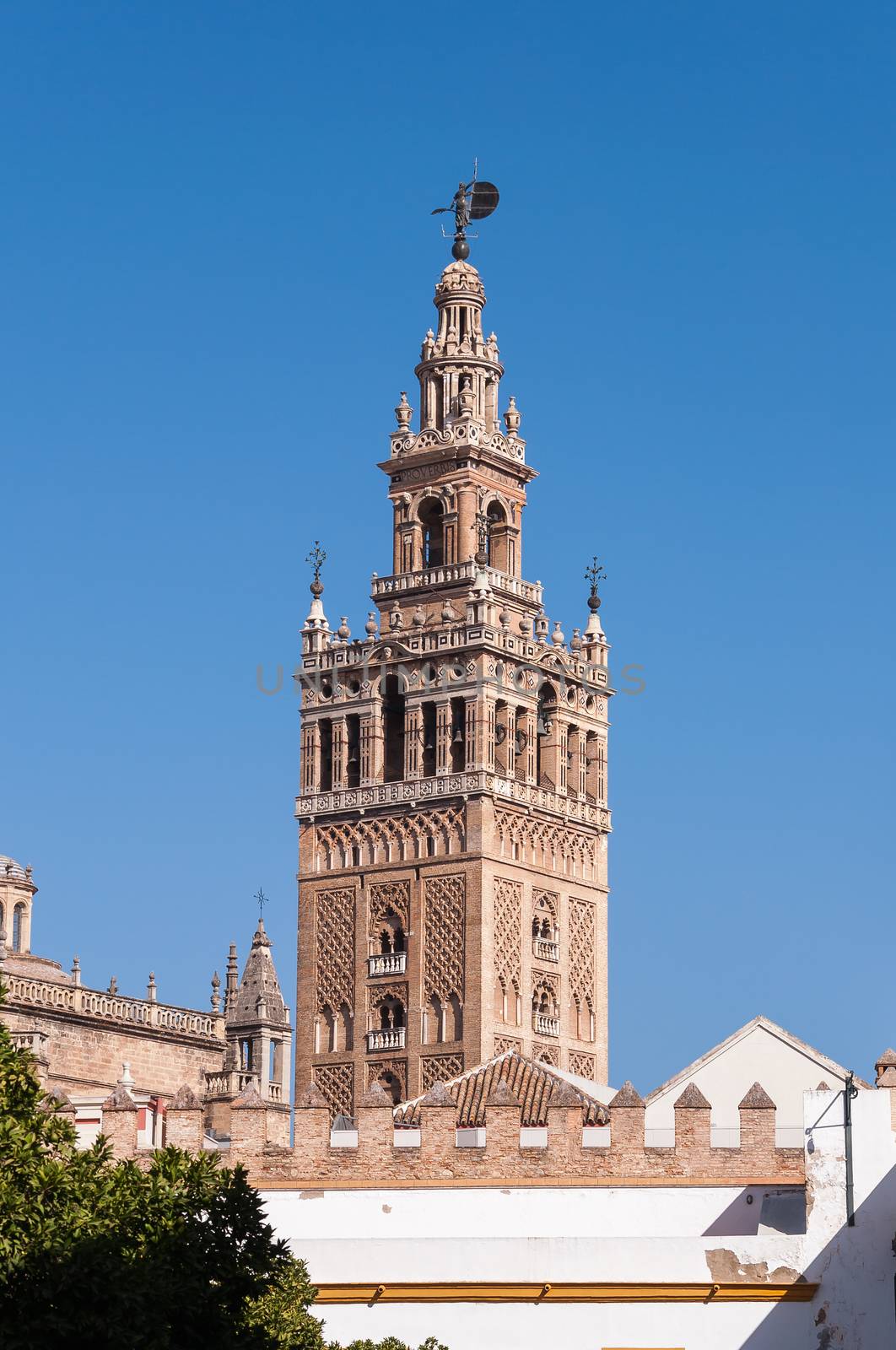 Giralda Tower of the Seville Cathedral by mkos83