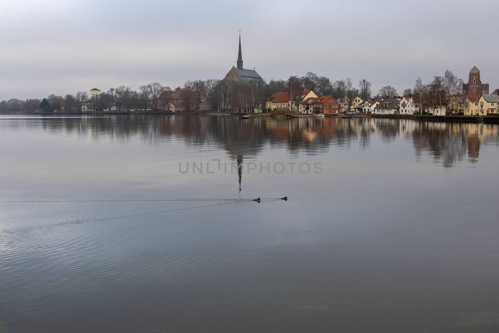 Birds swimming in a lake in november with the small town of Vads by ankihoglund
