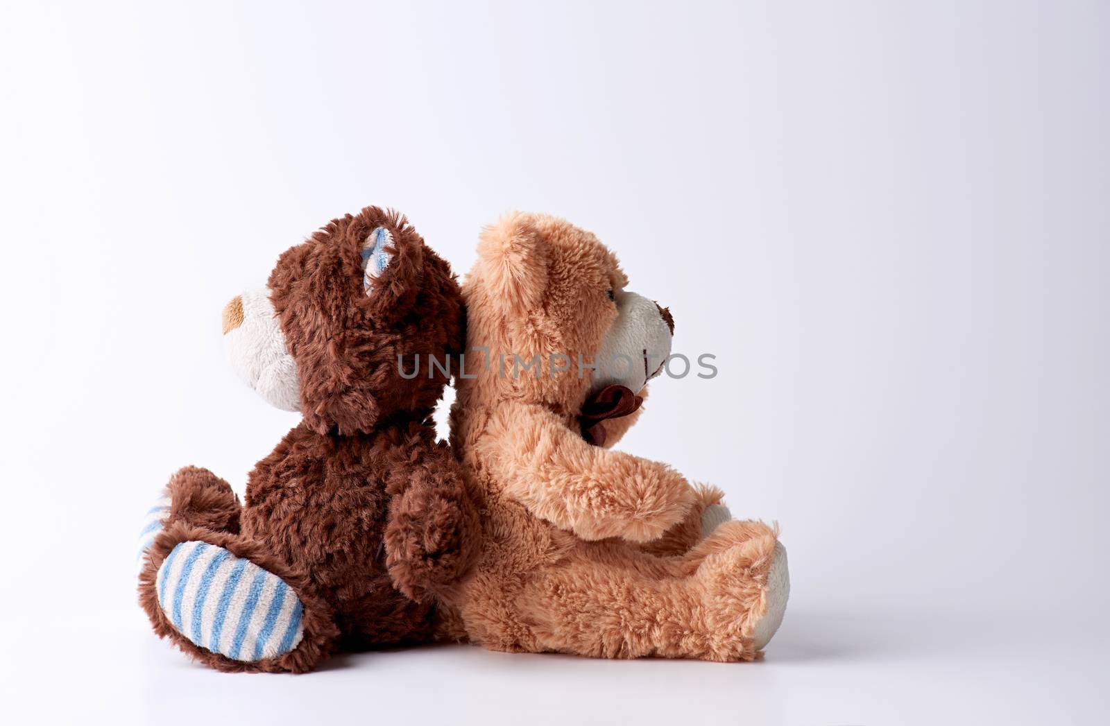 two plush brown witchcats sit on a white background back to back, concept of quarrel and resentment