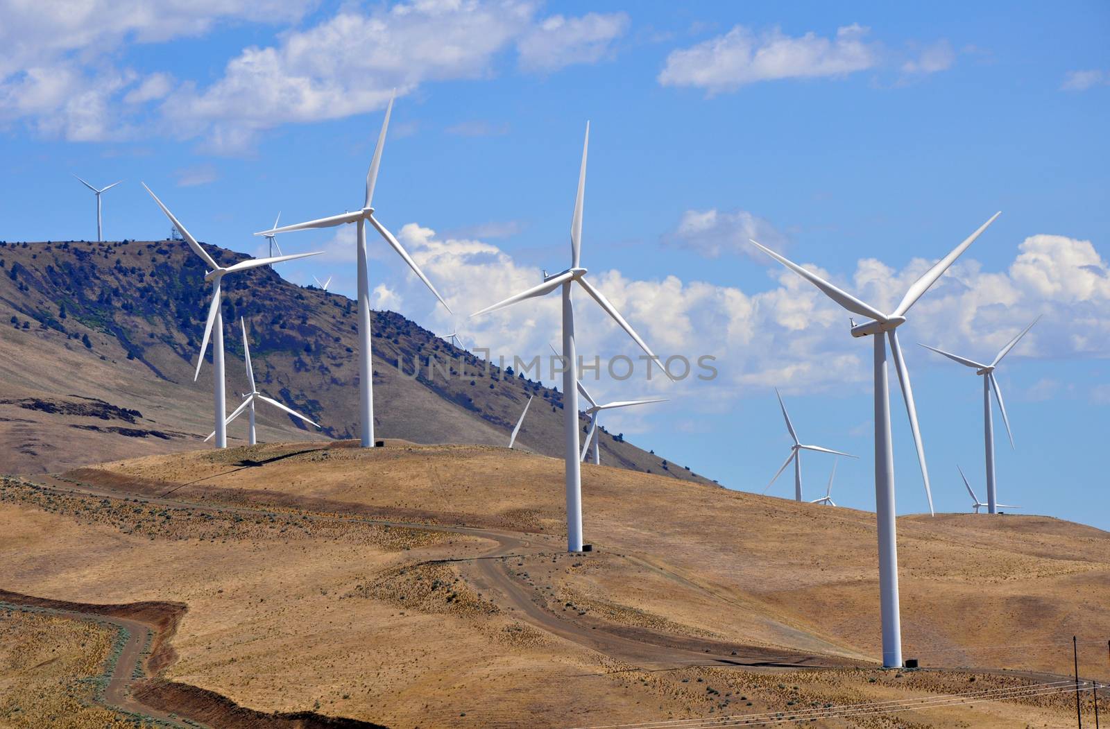 Many wind turbines on hill