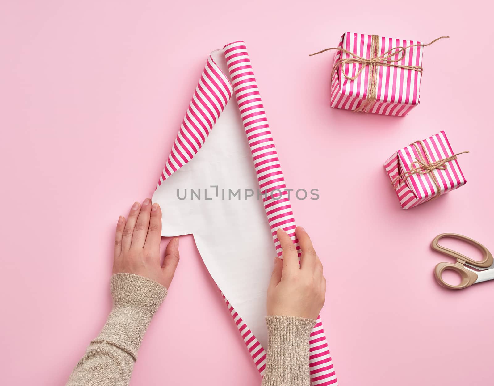 two female hands unfold a roll of wrapping paper, next to two gifts, pink background, preparing surprises