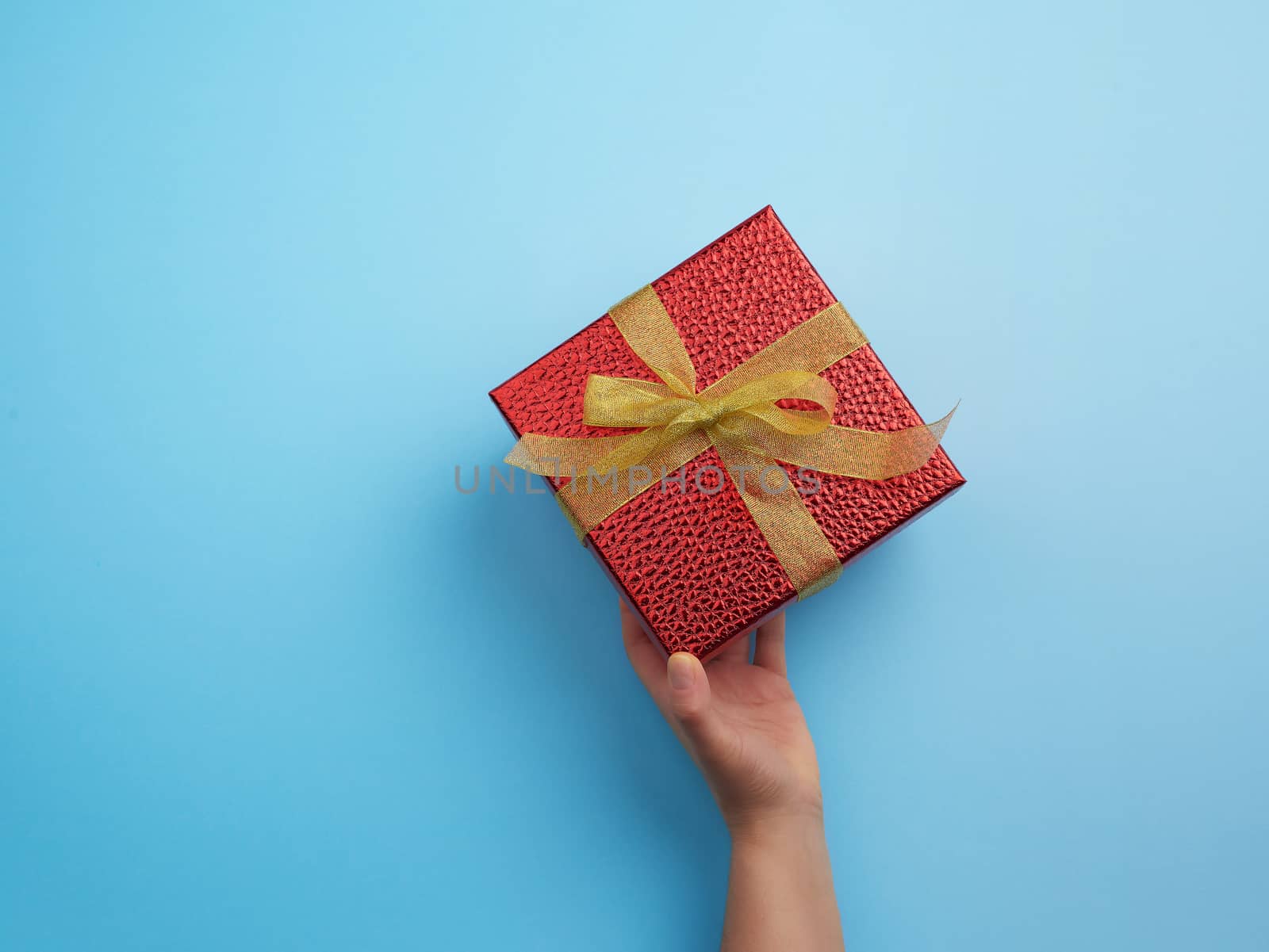 female hand holds a red box tied with a golden ribbon, concept of congratulations and gifts, top view, blue background