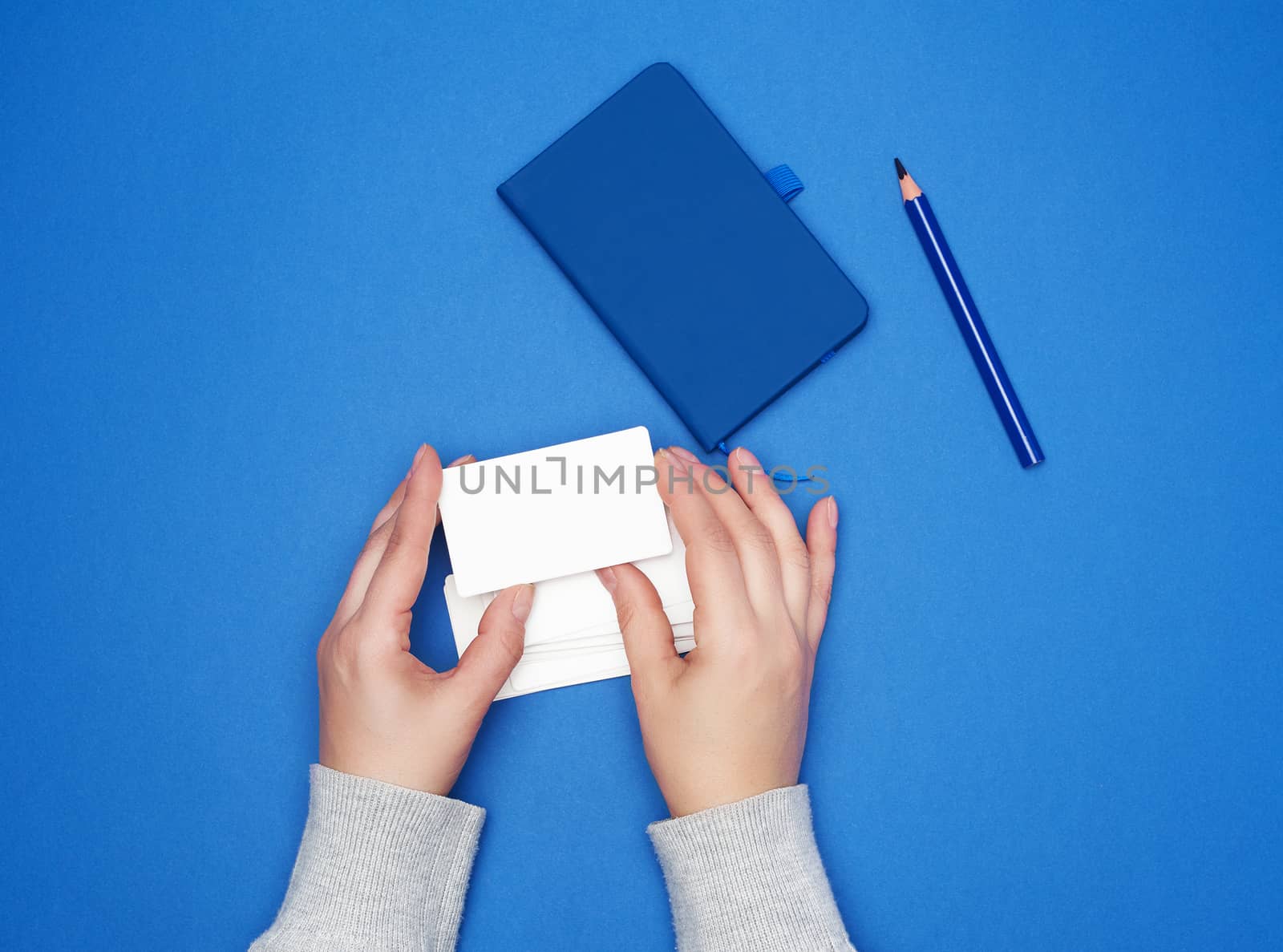 two female hands holding a stack of empty white paper business cards on a blue background, top view