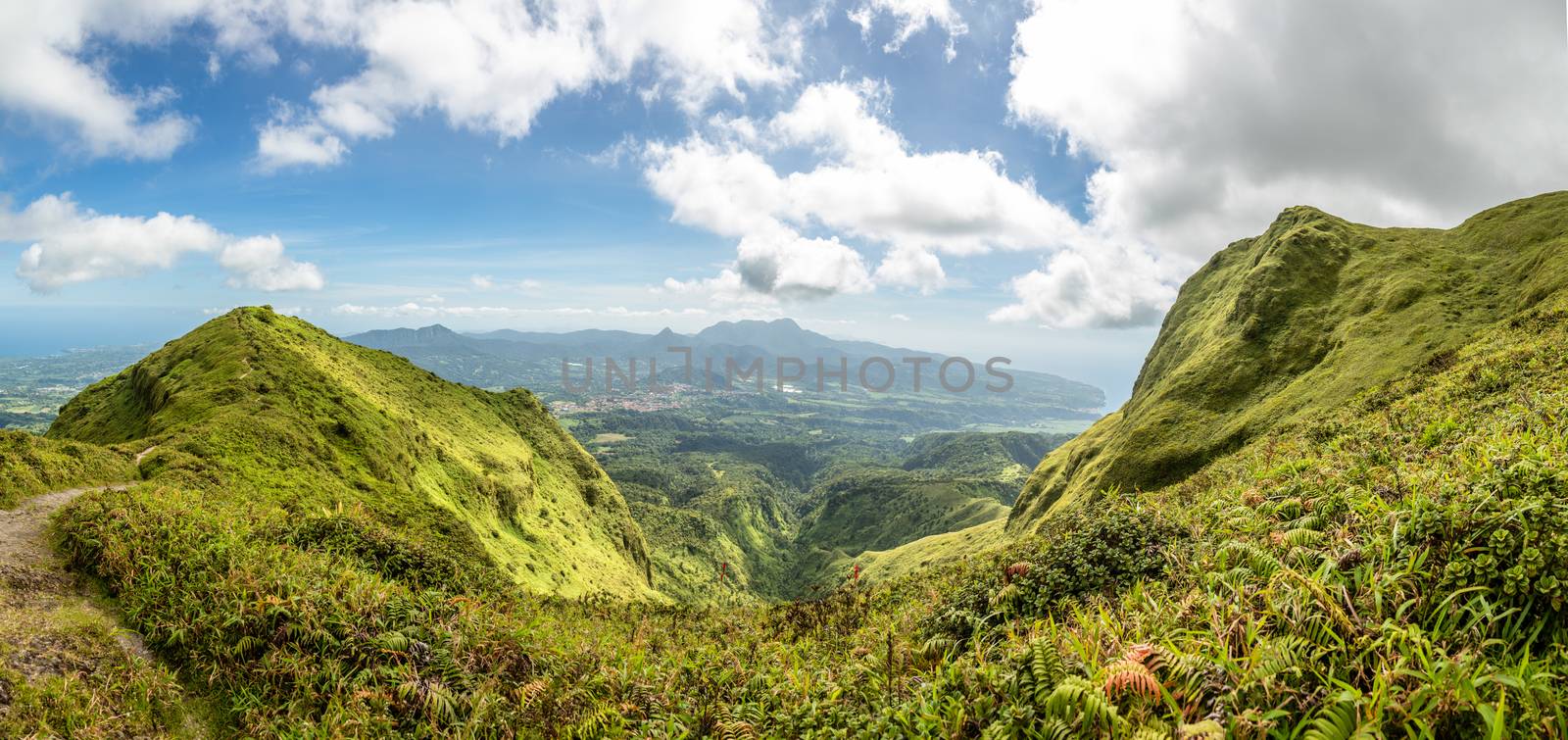 Mount Pelee green volcano hillside panorama, Martinique,  French by ambeon