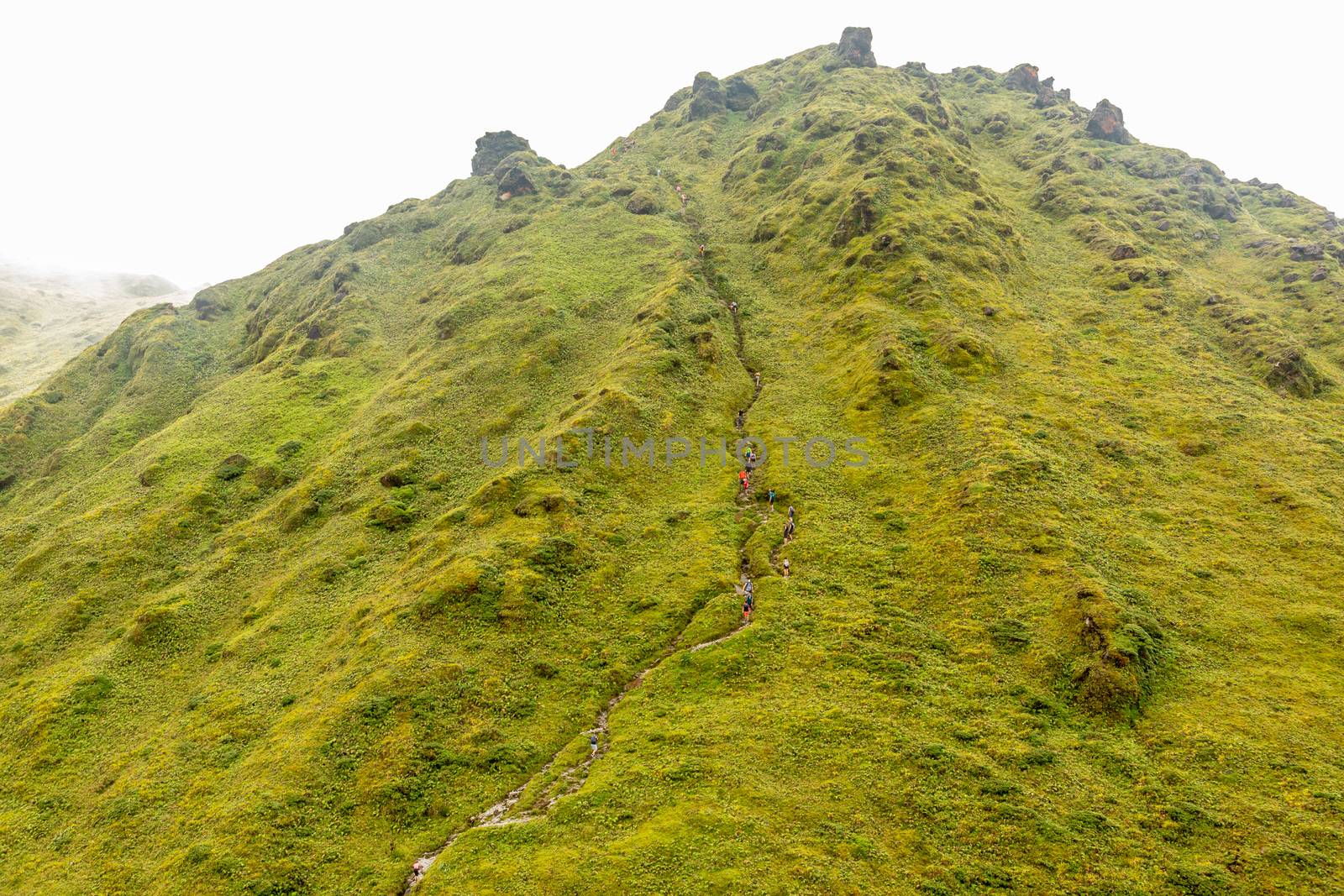 Mount Pelee green volcano hillside with hiking trail full of tourists, Martinique,  French overseas department