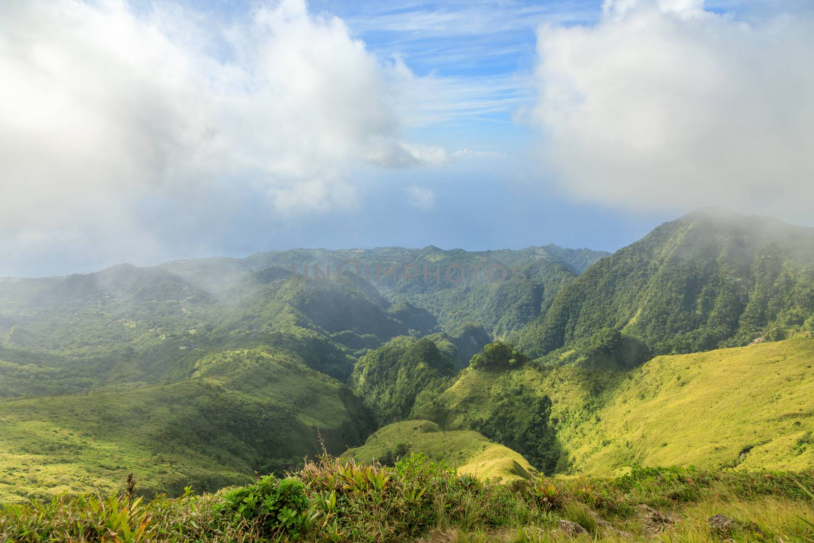 Mount Pelee green volcano hillside panorama, Martinique,  French overseas department