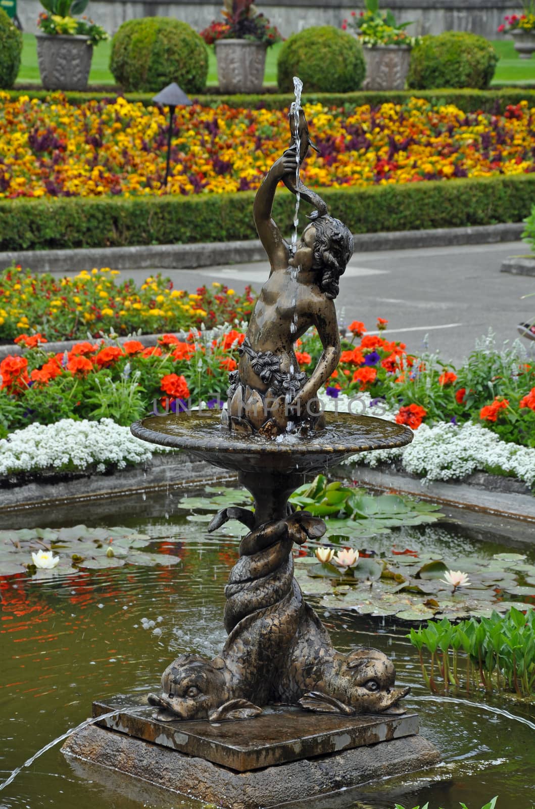 Cherub water fountain in botanical garden