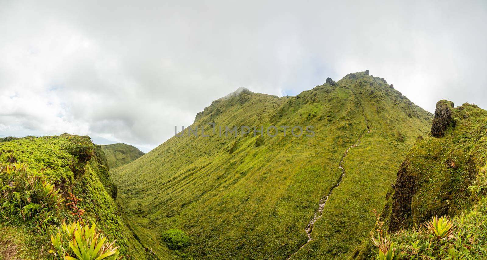 Mount Pelee green volcano cone crater panorama, Martinique,  Fre by ambeon