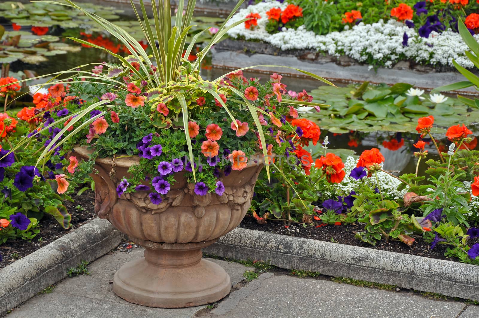 Decorative petunia planter next to garden pond
