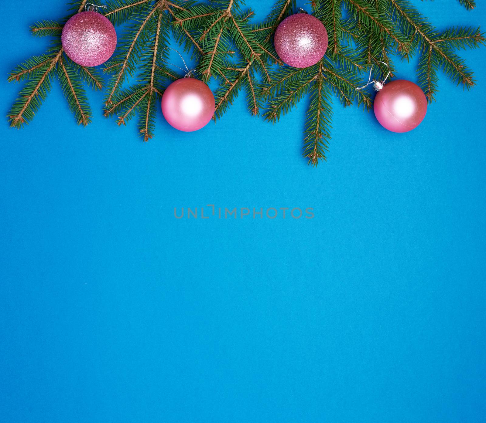 green spruce branches, pink shiny Christmas balls on a blue background, festive backdrop for Christmas and New Year, place for an inscription