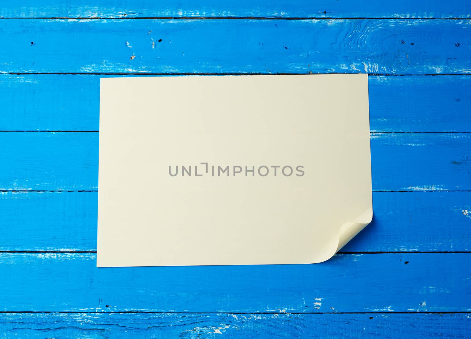 blank white sheet of paper with a curled corner on a blue wooden background
