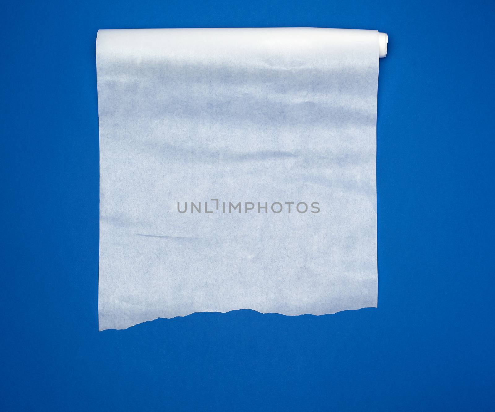 unwound white parchment baking paper on a blue background, top view