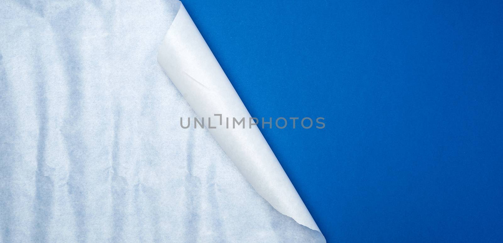 empty dark blue background with wrapped white sheet of paper, empty place for text, trend color