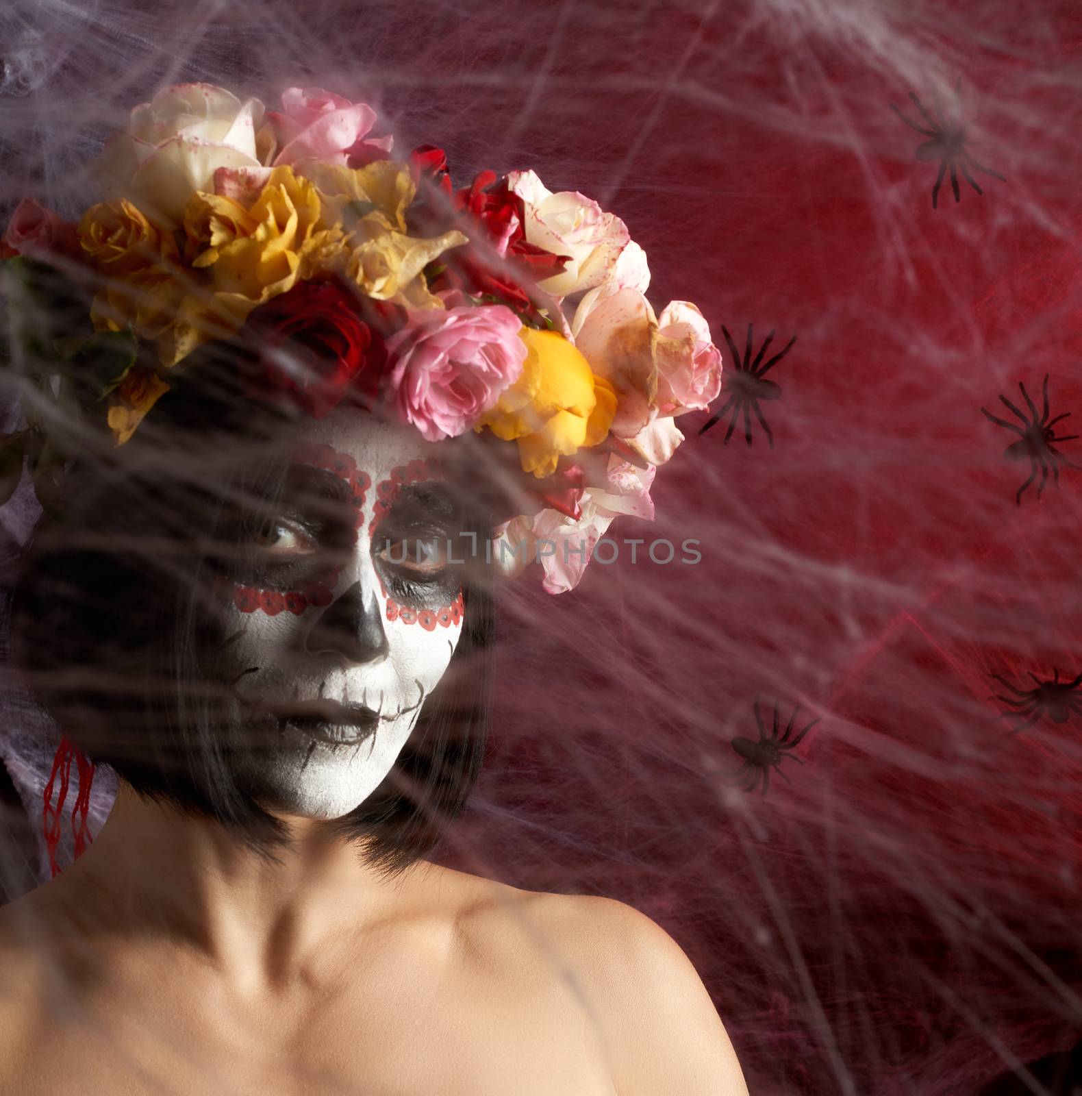 Portrait of a young girl with makeup in the image of Katrina for the holiday of the Day of the Dead. Sugar skull makeup. spider web background with black spiders