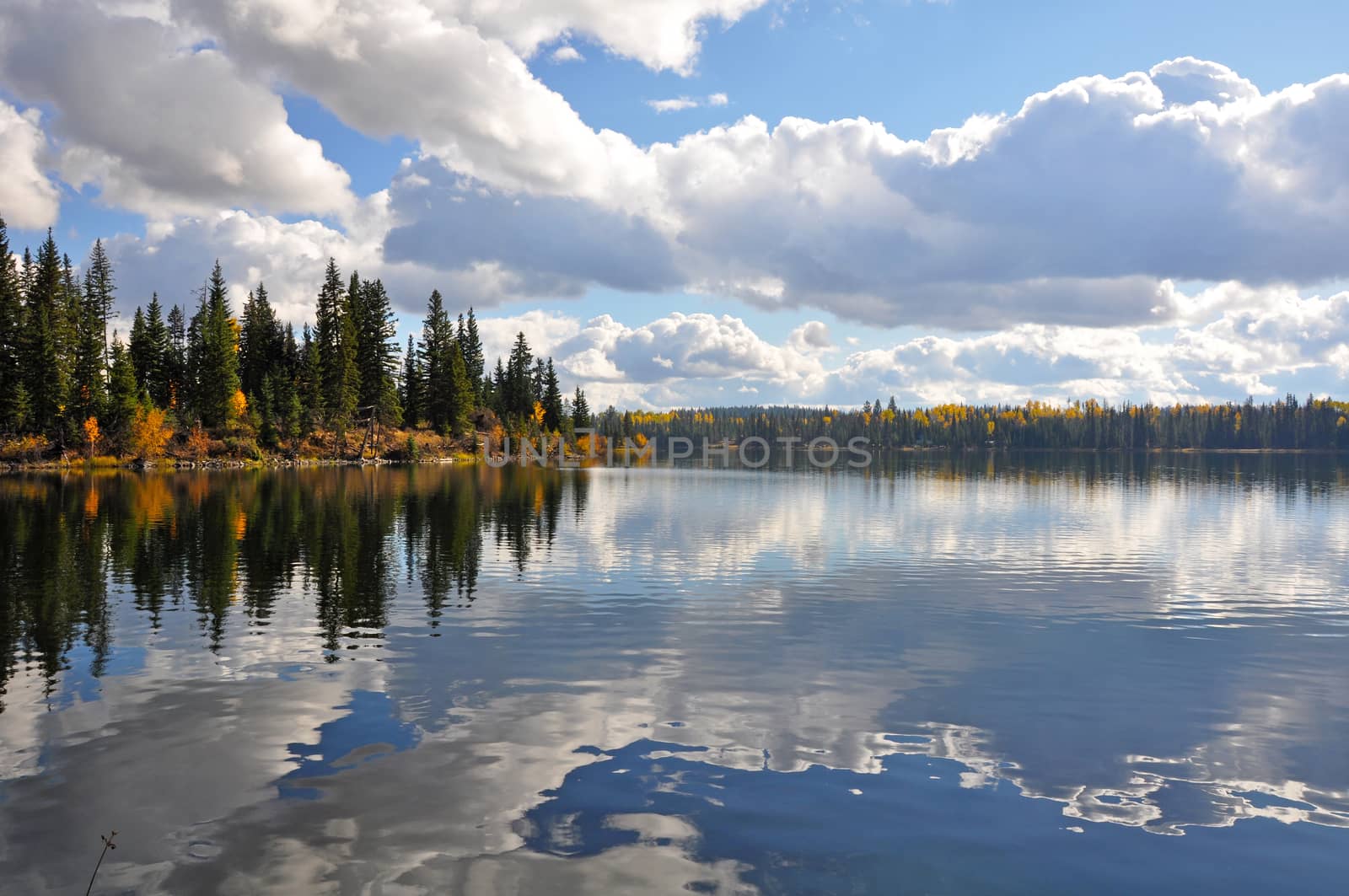 Beautiful autumn forest with clouds reflecting in lake