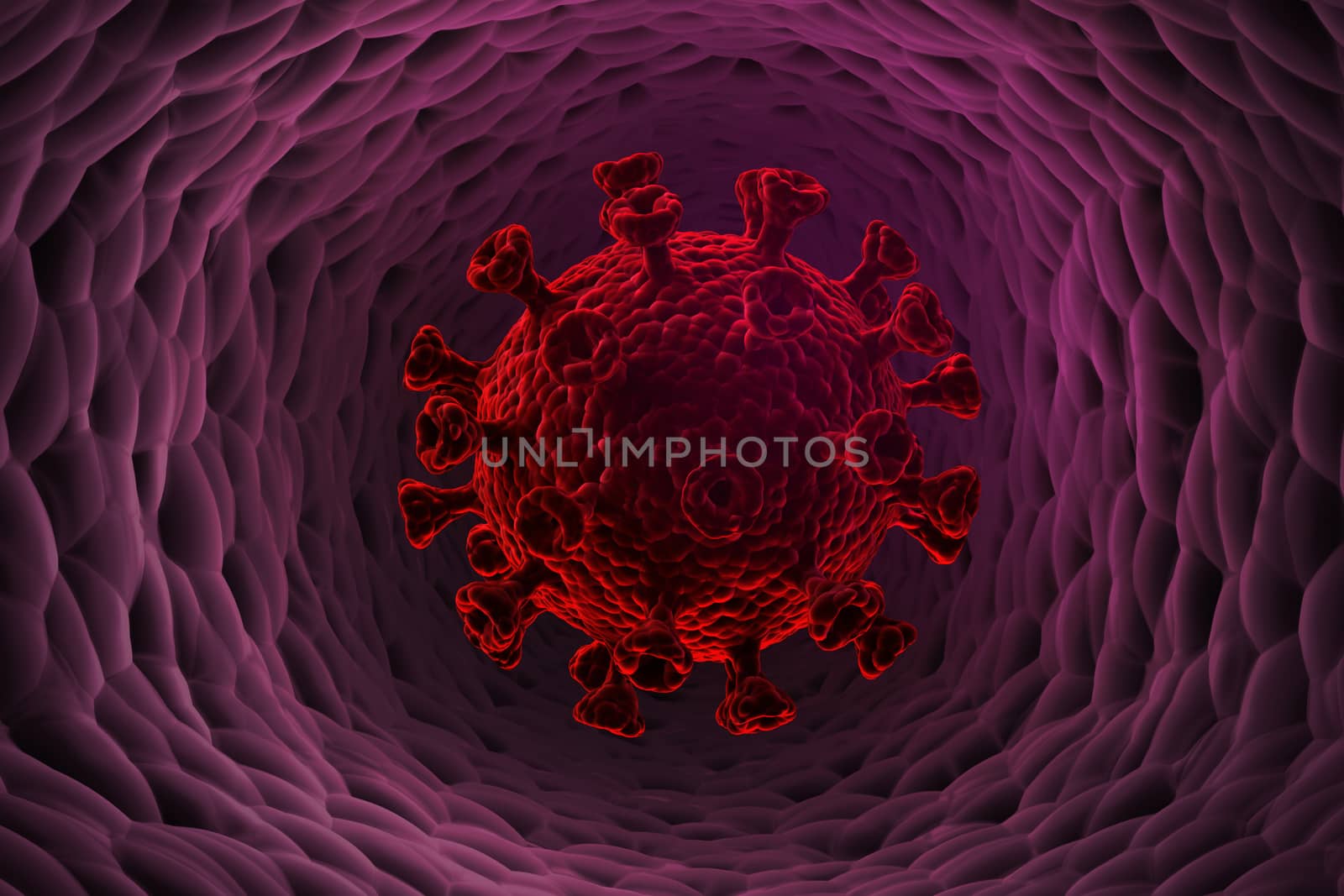 An illustration showing a coronavirus in the human body