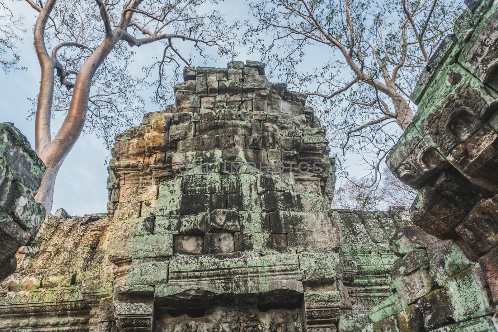 Cambodia Angkor Wat Ta Prohm Temple Tomb Raider Tree Roots Ruins. Angkor Temples Ta Prohm. Siem Reap, Cambodia 