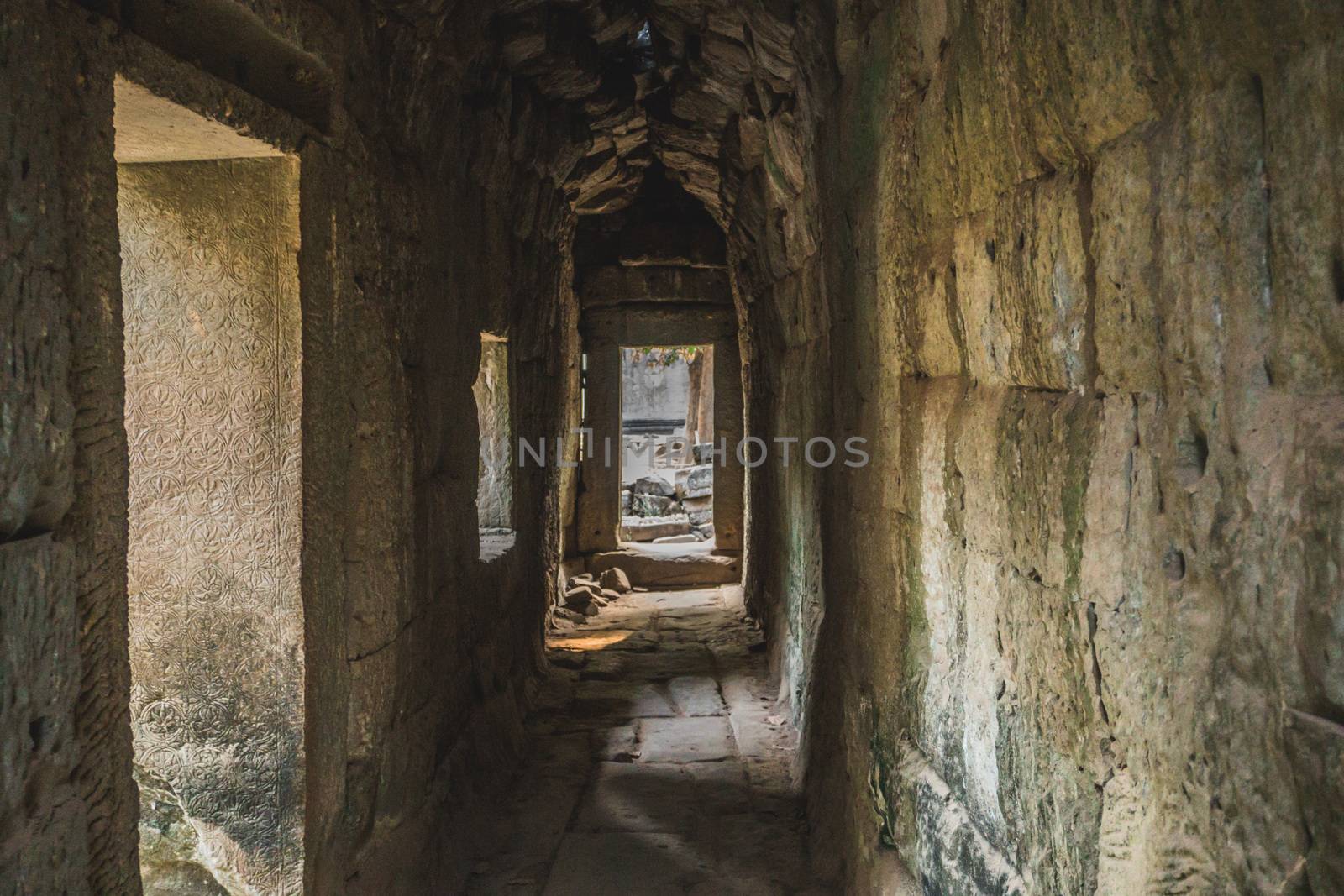 Medium shot of Ruins Of Abandon Temple - Angkor Wat. Angkor Temples Ta Prohm. Siem Reap, Cambodia 