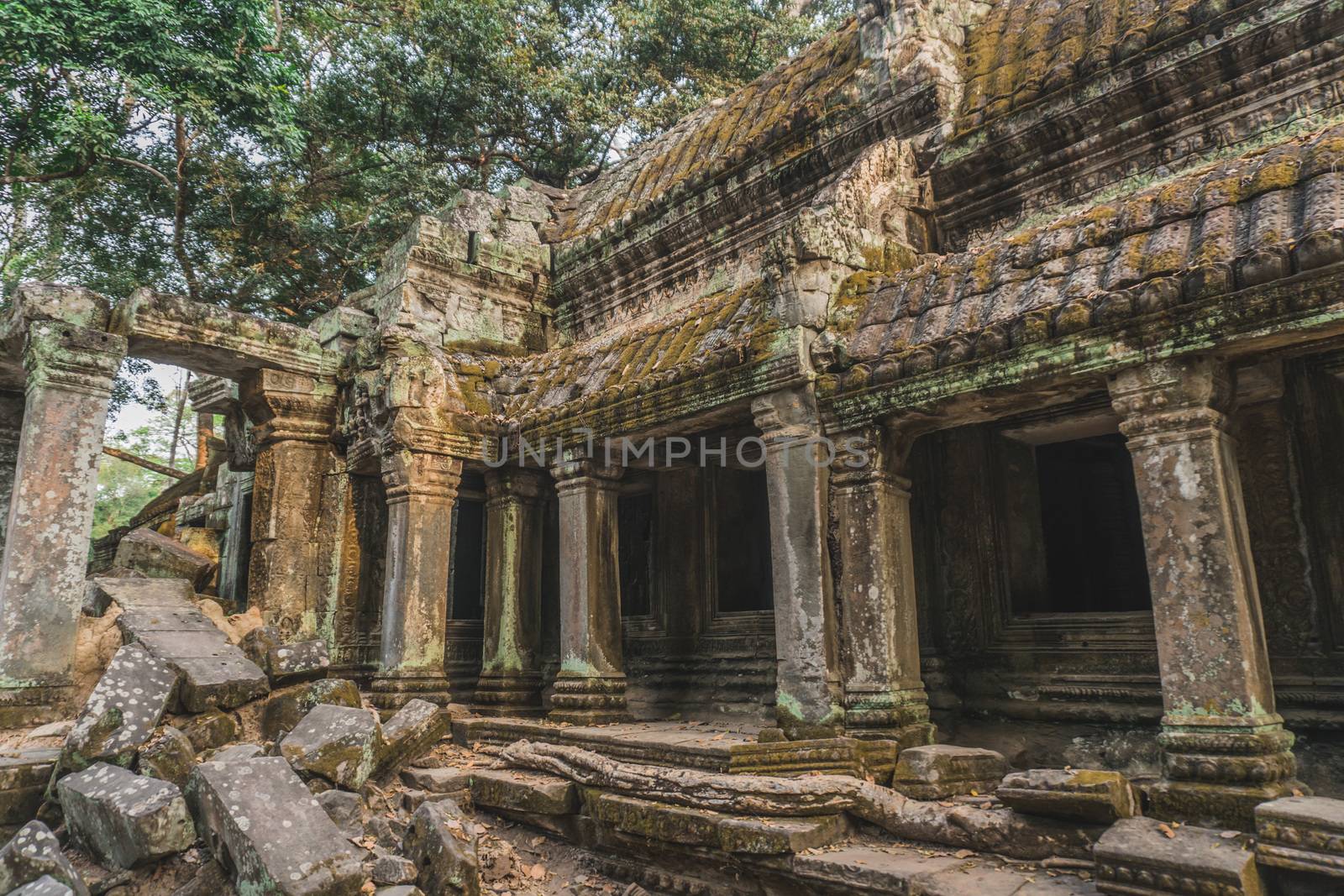 Medium shot of Ruins Of Angkor Temples Ta Prohm. Siem Reap, Cambodia 