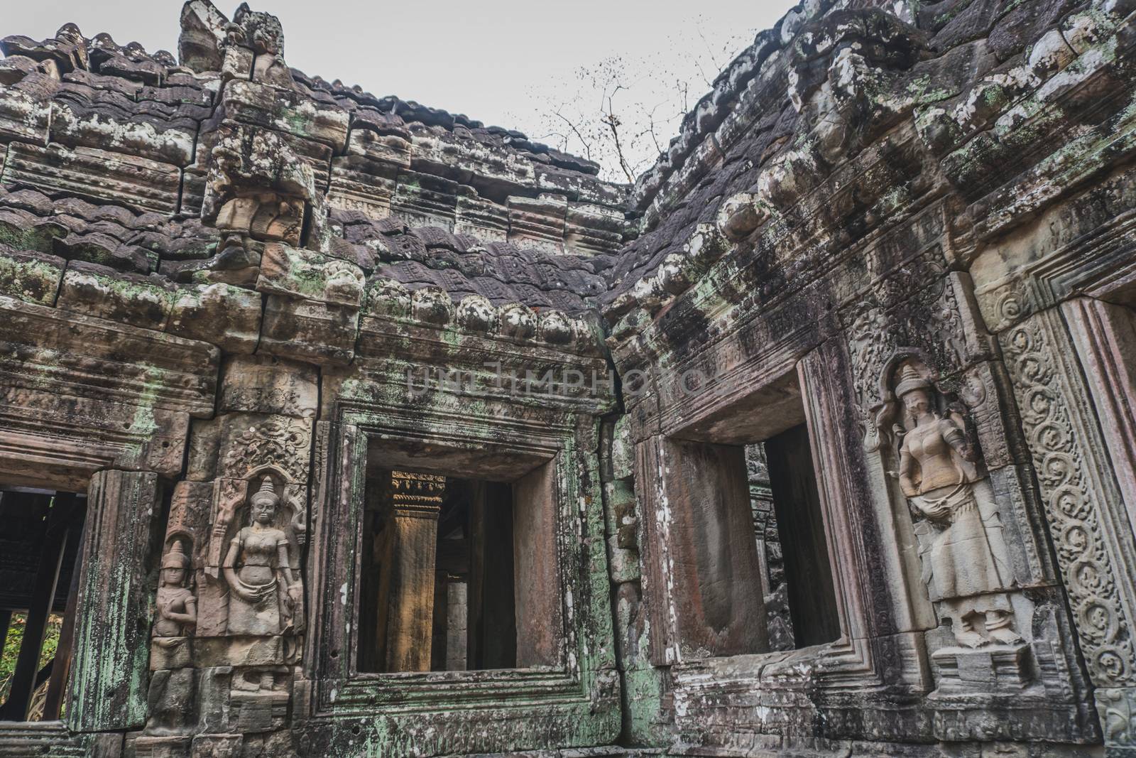 Medium shot of Ruins Of Abandon Temple - Angkor Wat. Banteay Kdei Temple. Siem Reap, Cambodia