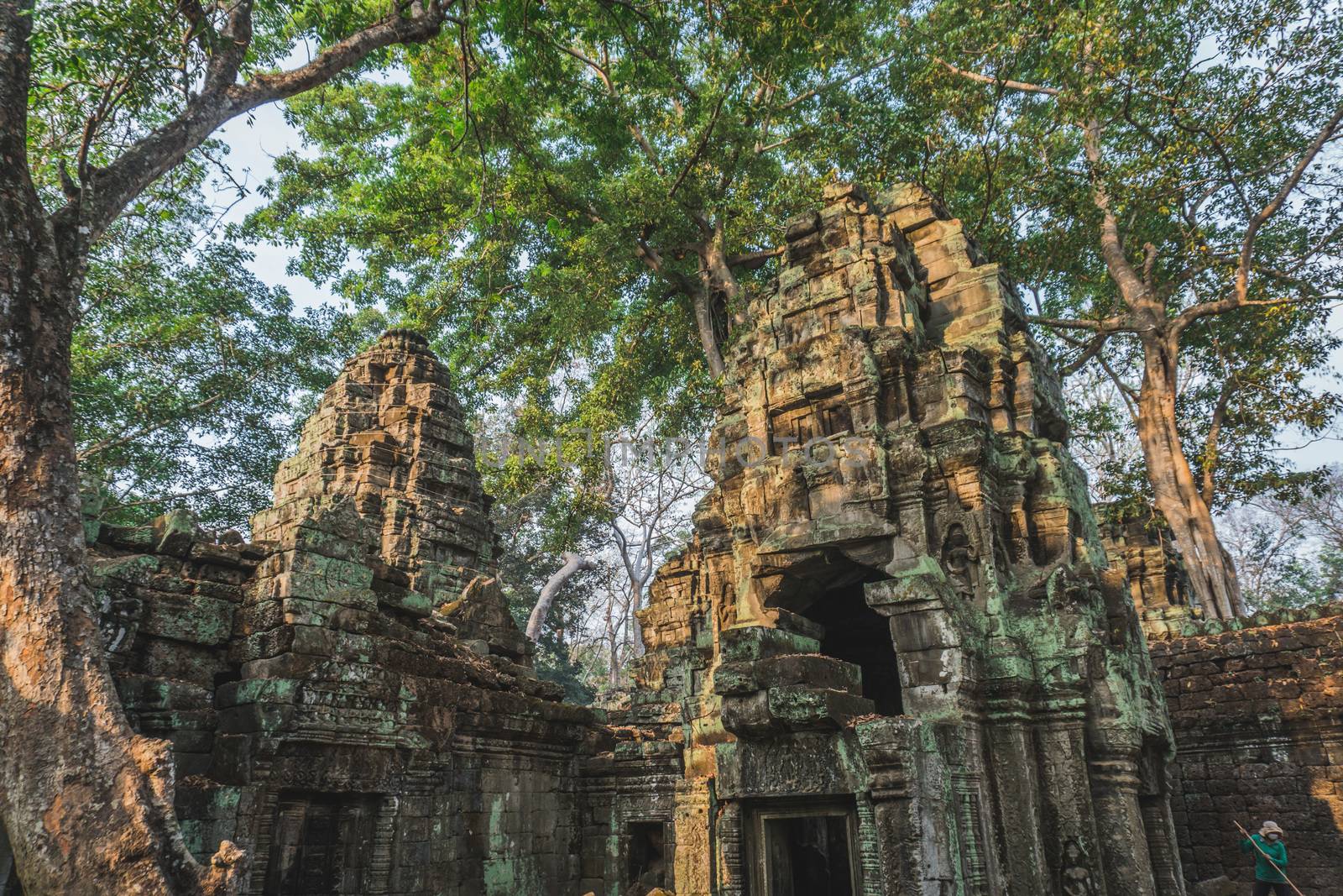 Cambodia Angkor Wat Ta Prohm Temple Tomb Raider Tree Roots Ruins. Angkor Temples Ta Prohm. Siem Reap, Cambodia 