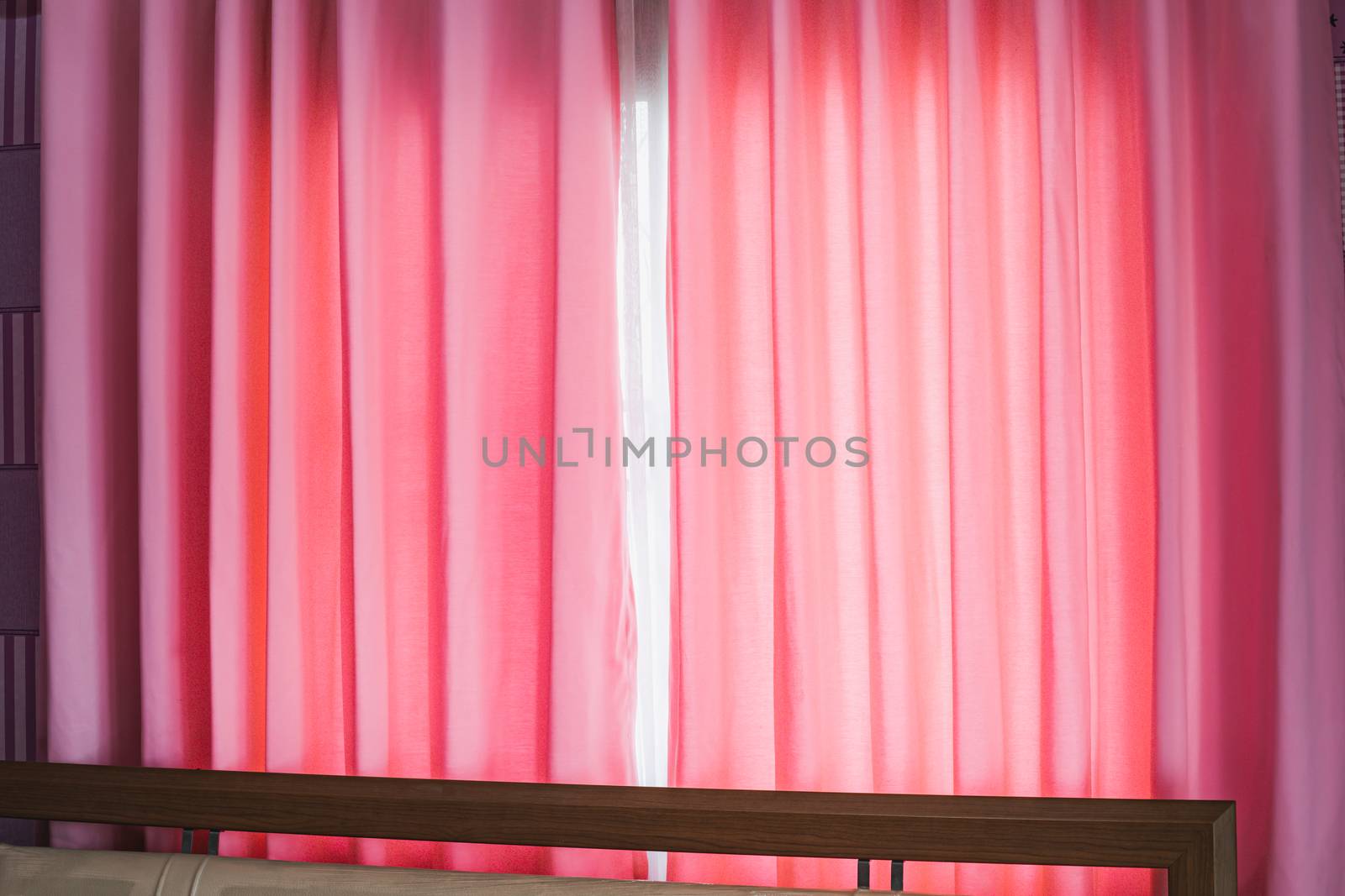 Pink curtains with sunlight through the window for decoration and interiors concept