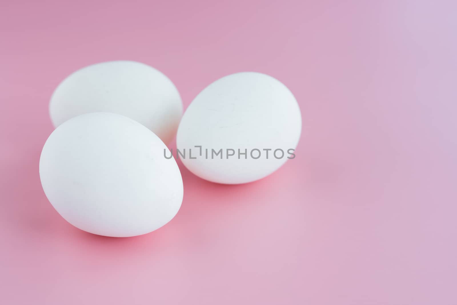 White eggs on pink background for healthy food concept