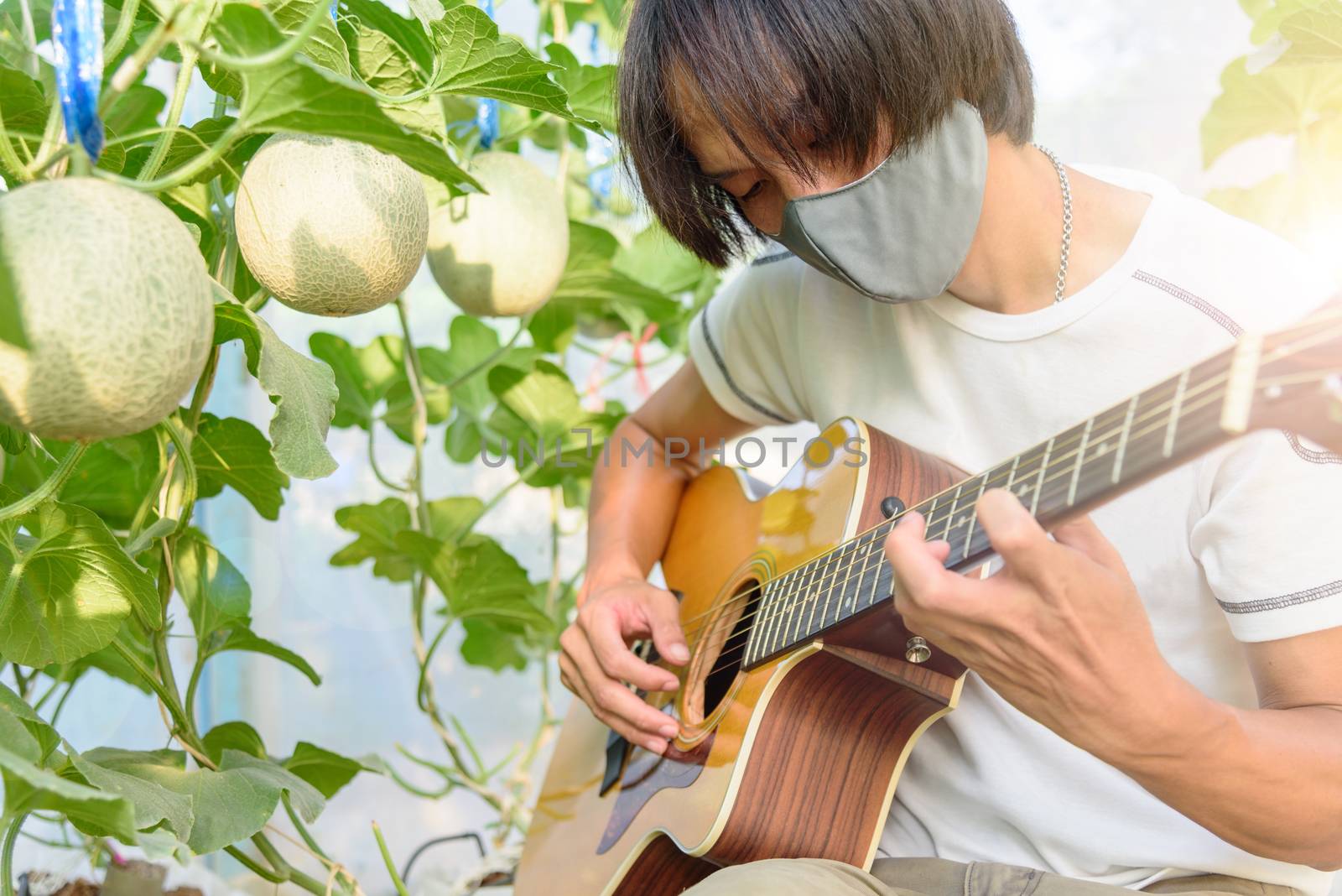 Playing acoustic guitar in fresh melon farm