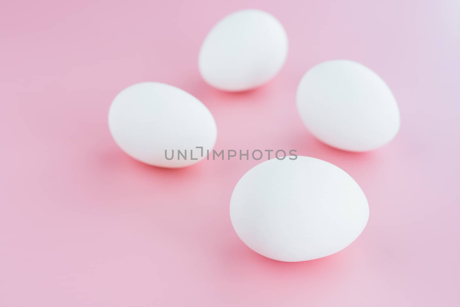 White eggs on pink background for healthy food concept