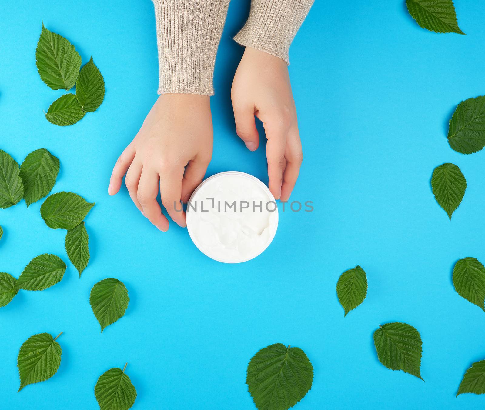 female hands of a young girl with smooth skin holding a round jar of cream, background with green raspberry leaves, concept of spa treatments for skin