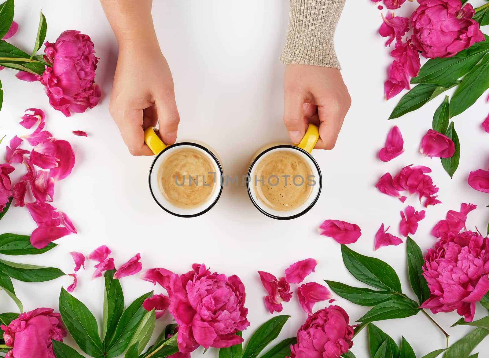 two hands holding yellow cups with a hot coffee drink on a white background in the midst of blooming peonies buds, concept of a break and time to rest