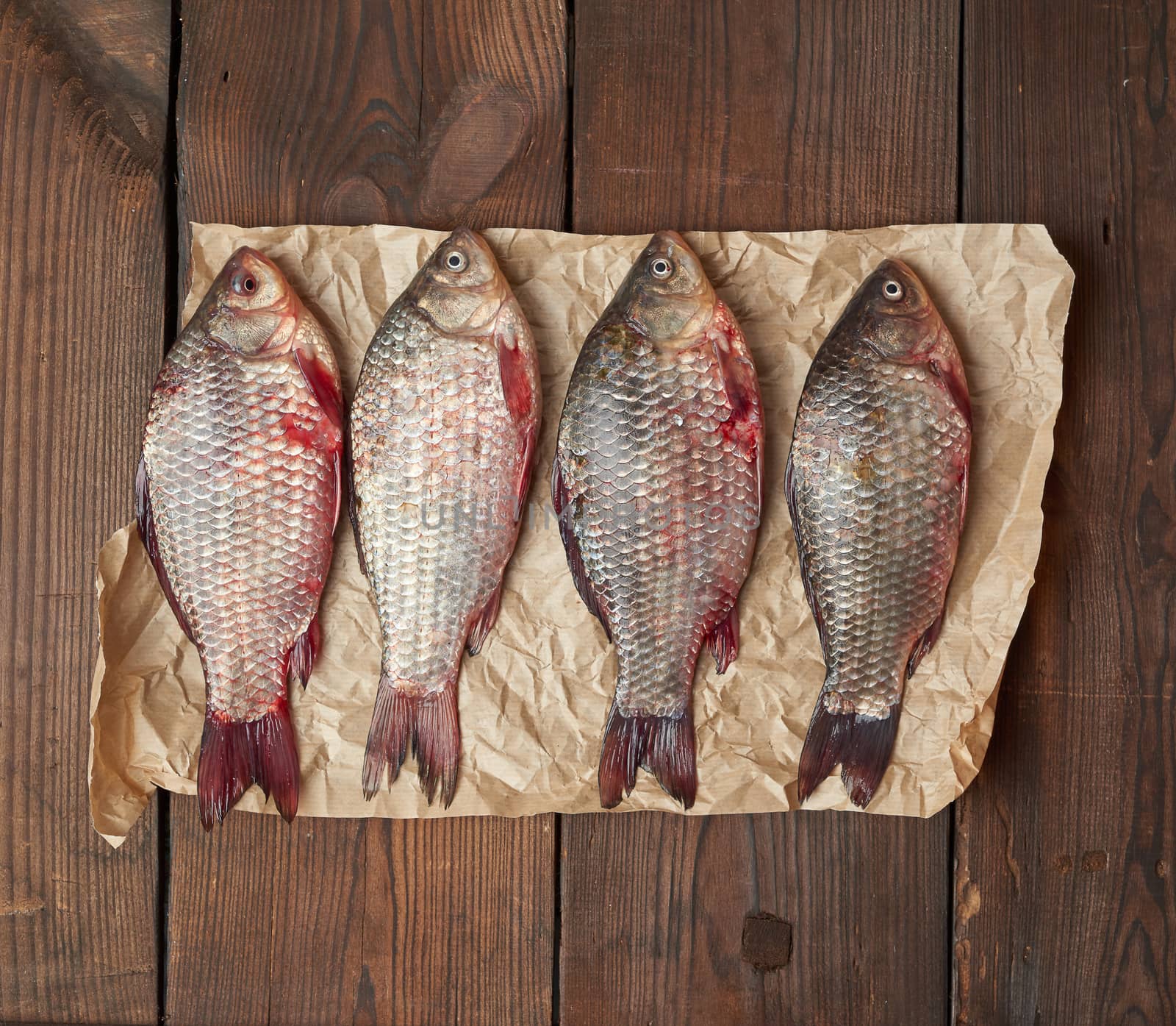 whole fresh crucian fish with scales on a crumpled brown piece of paper, close up