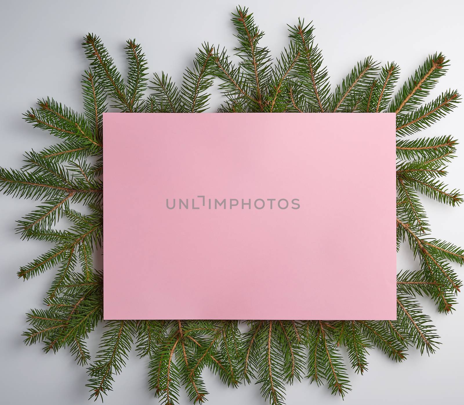 congratulatory Christmas background with an empty pink paper sheet and green branches of spruce on a white background, mock up, flat lay 
