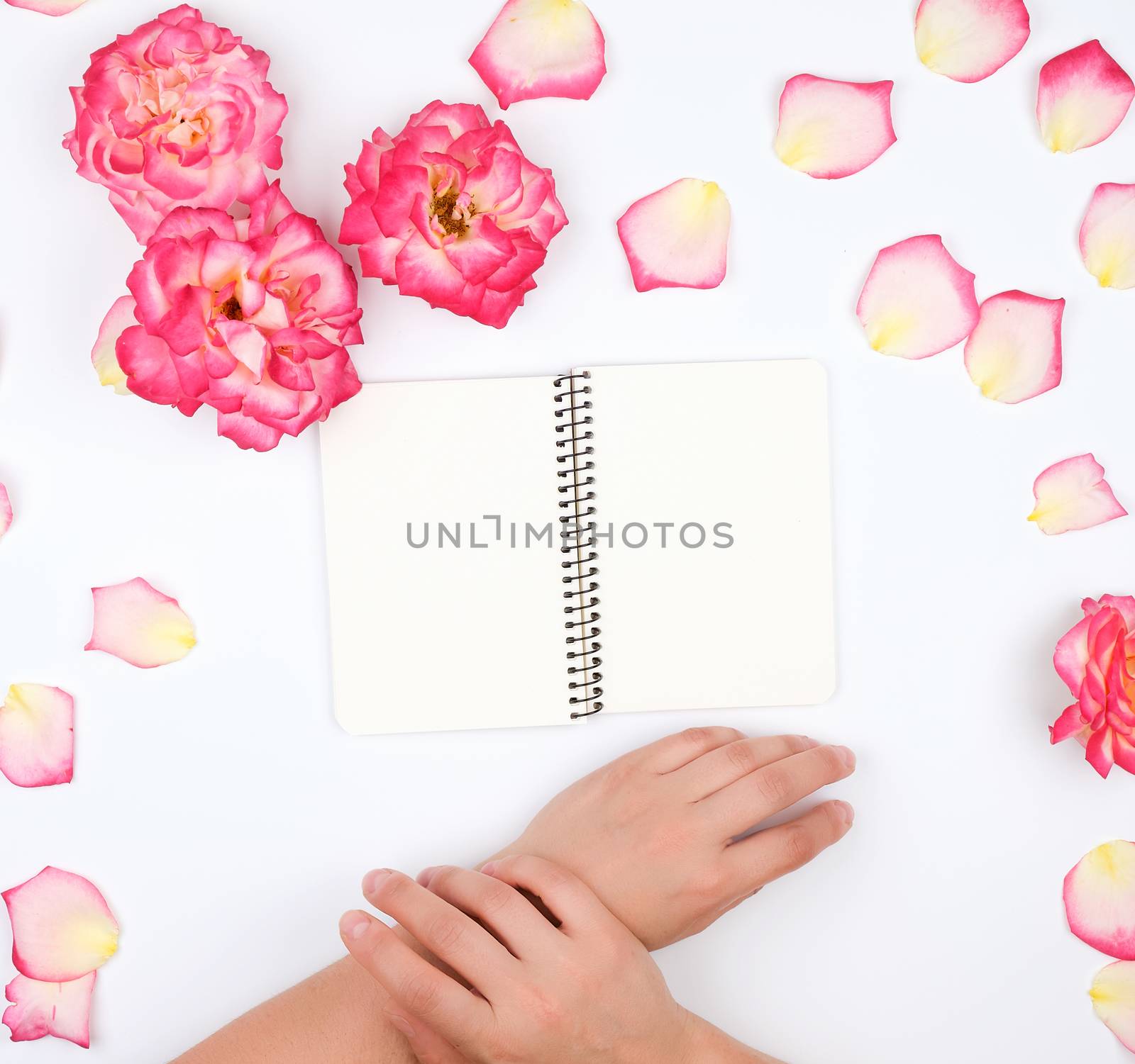 two female hands holding open notepad with clean white sheets on a white background, top view