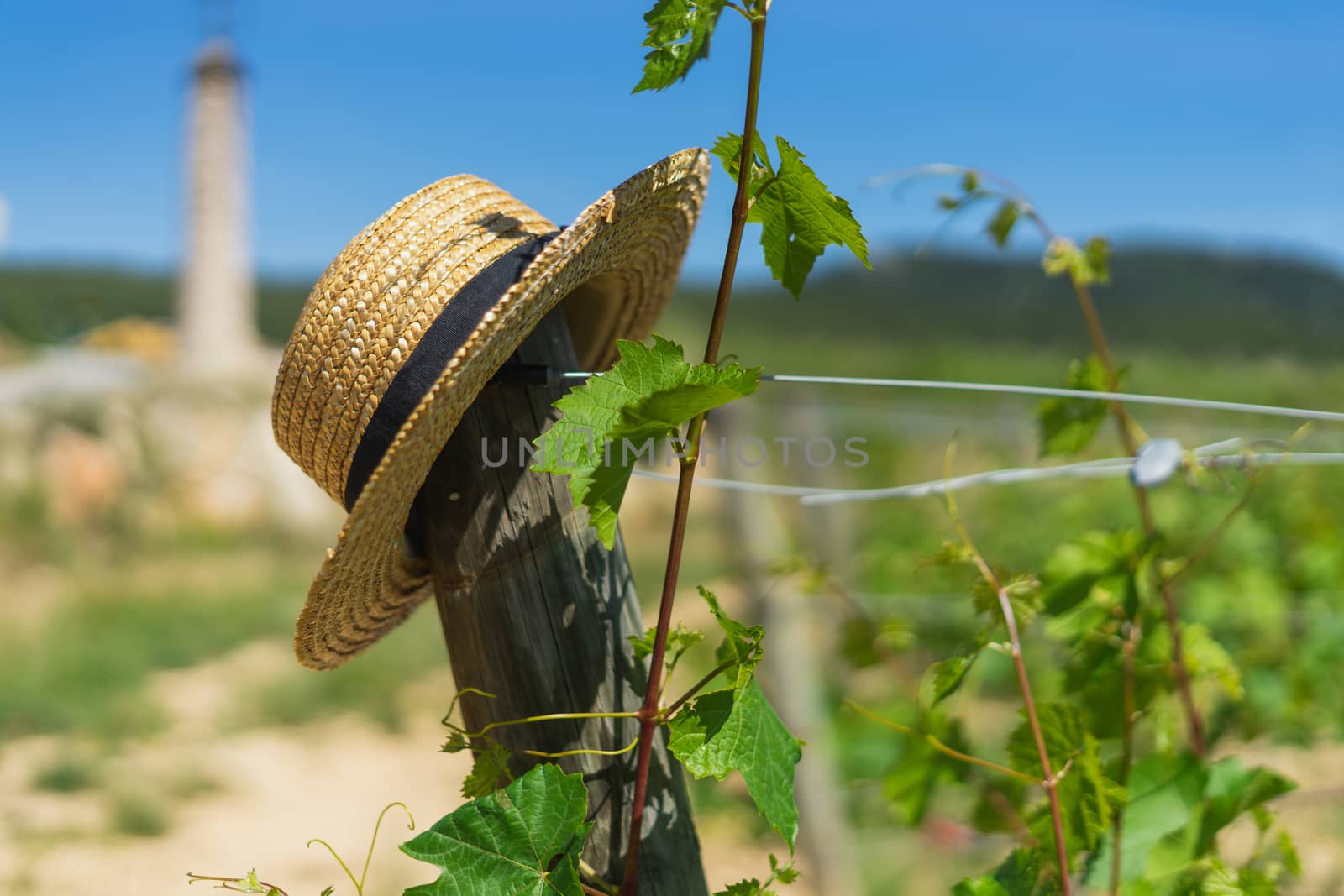 Close on a straw hat on an armrest on a vineyard pole in full sun