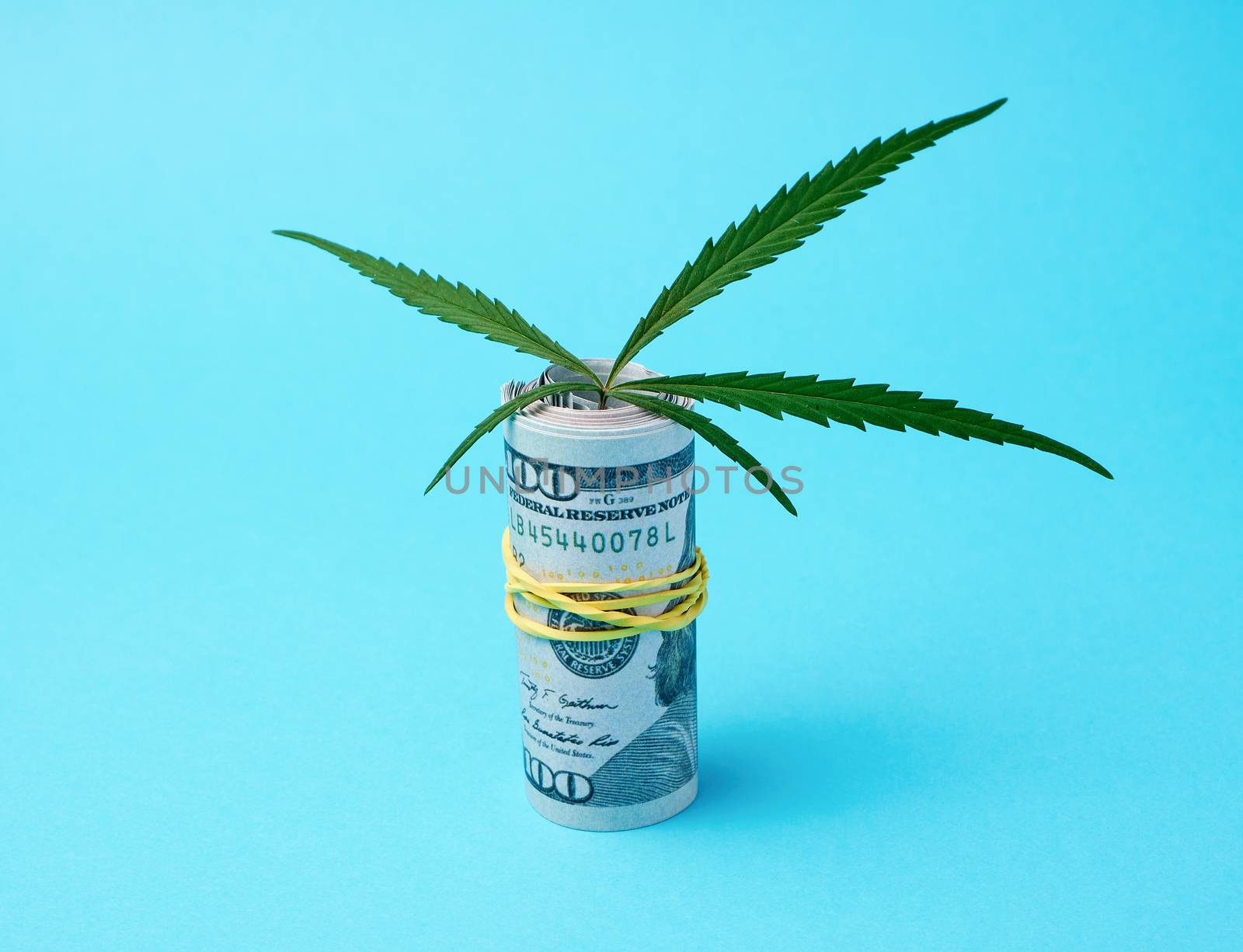 banknotes of american dollars and green leaf of hemp on a blue background, concept of making money on illegal business